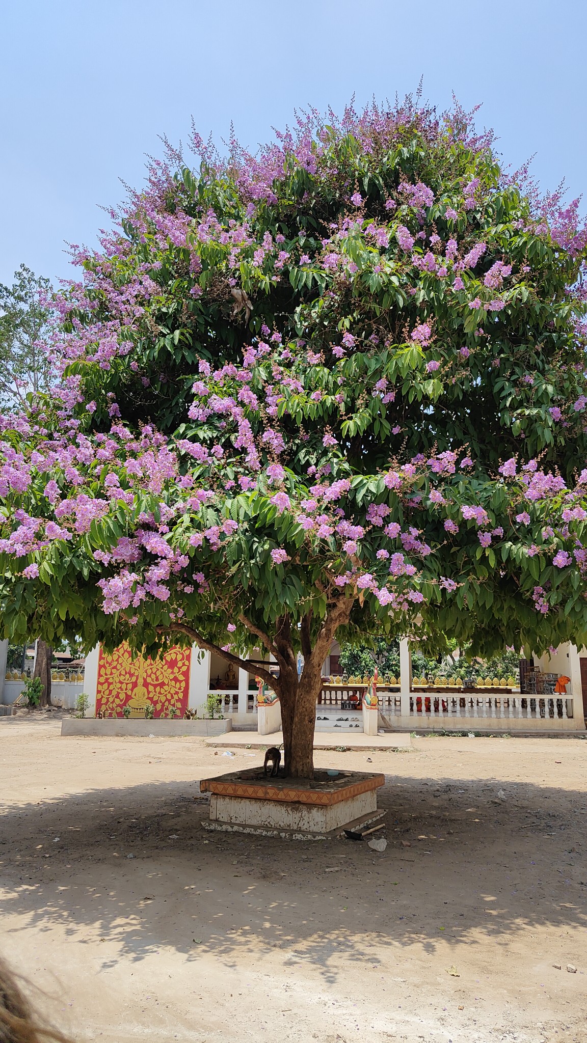 Luang Namtha - villages