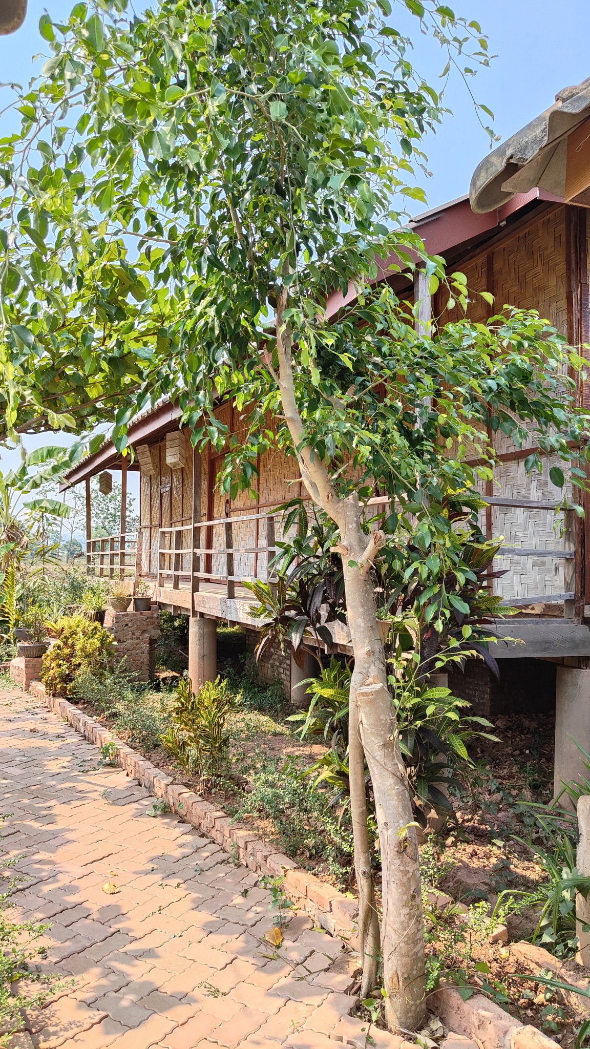 Luang Namtha - villages