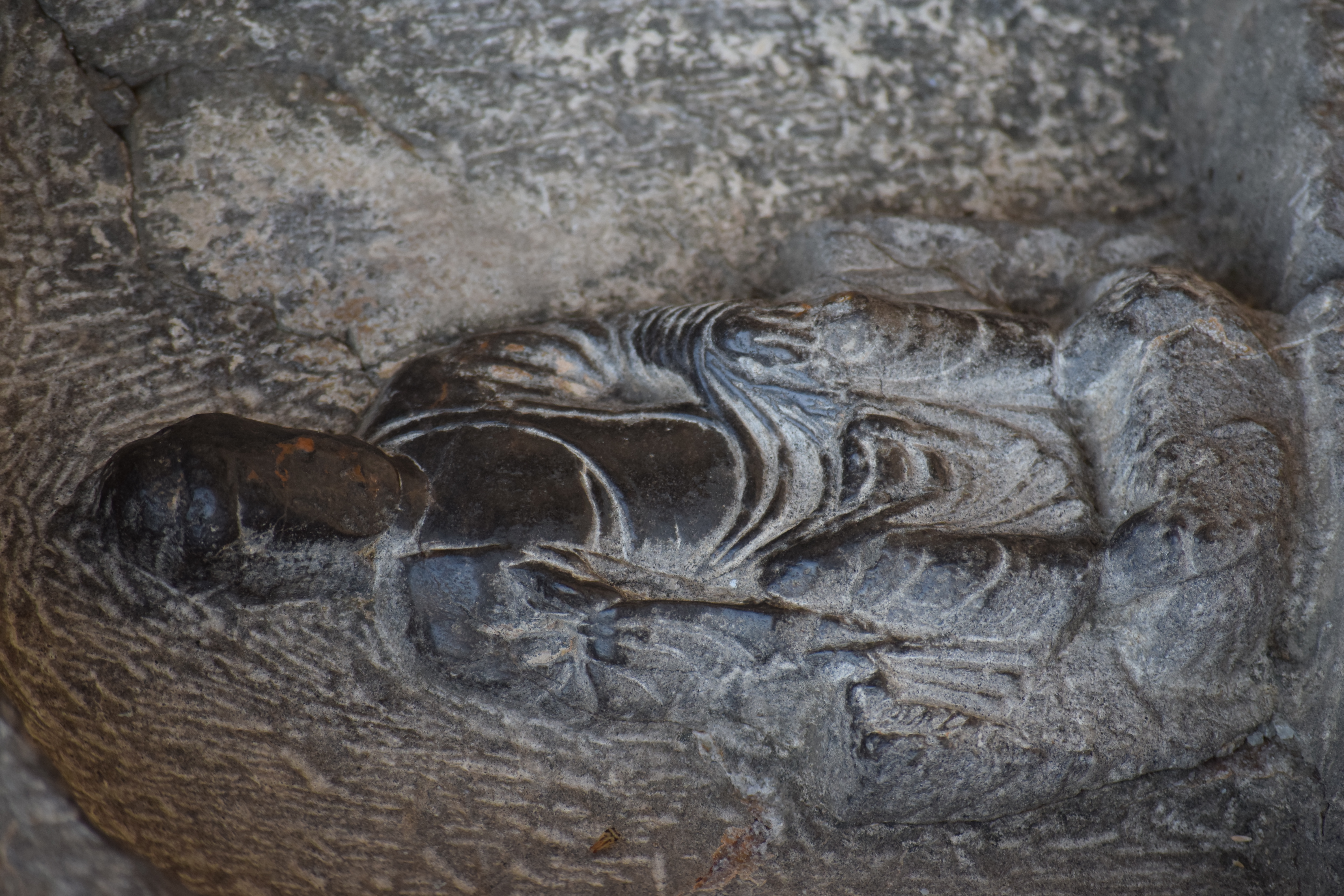 Grottes de Longmen