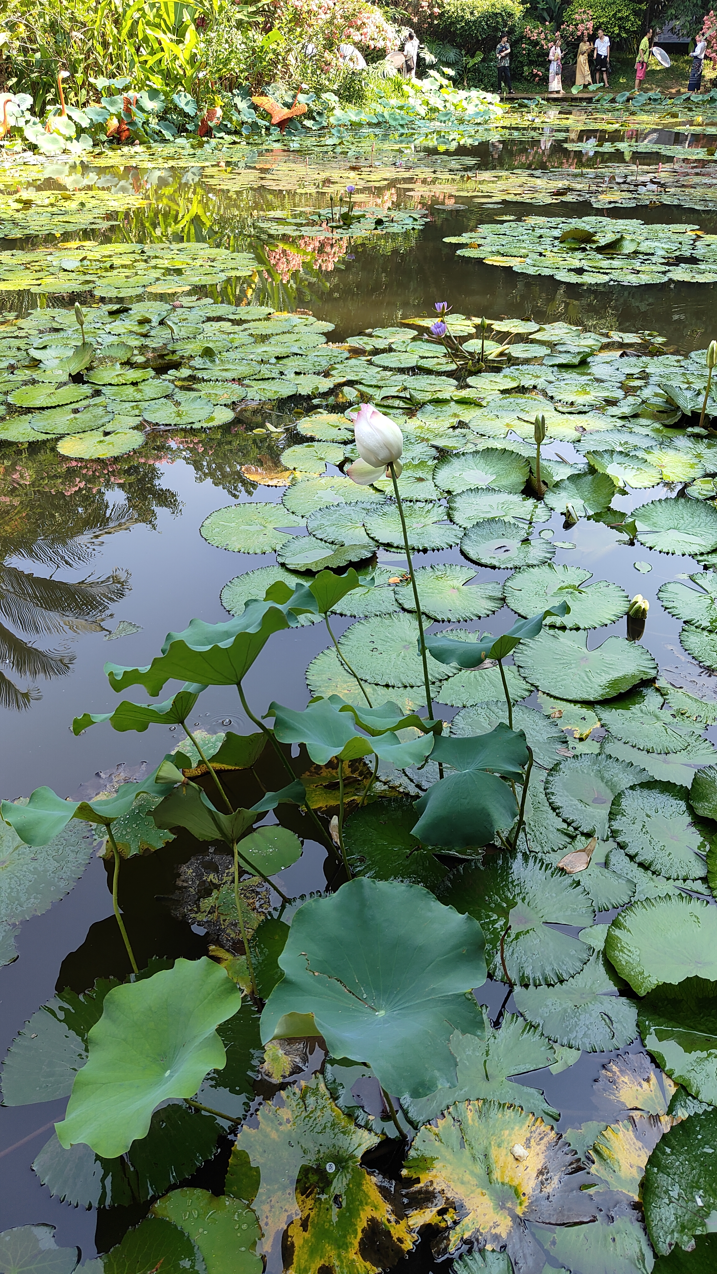 Manting Park - Yunnan