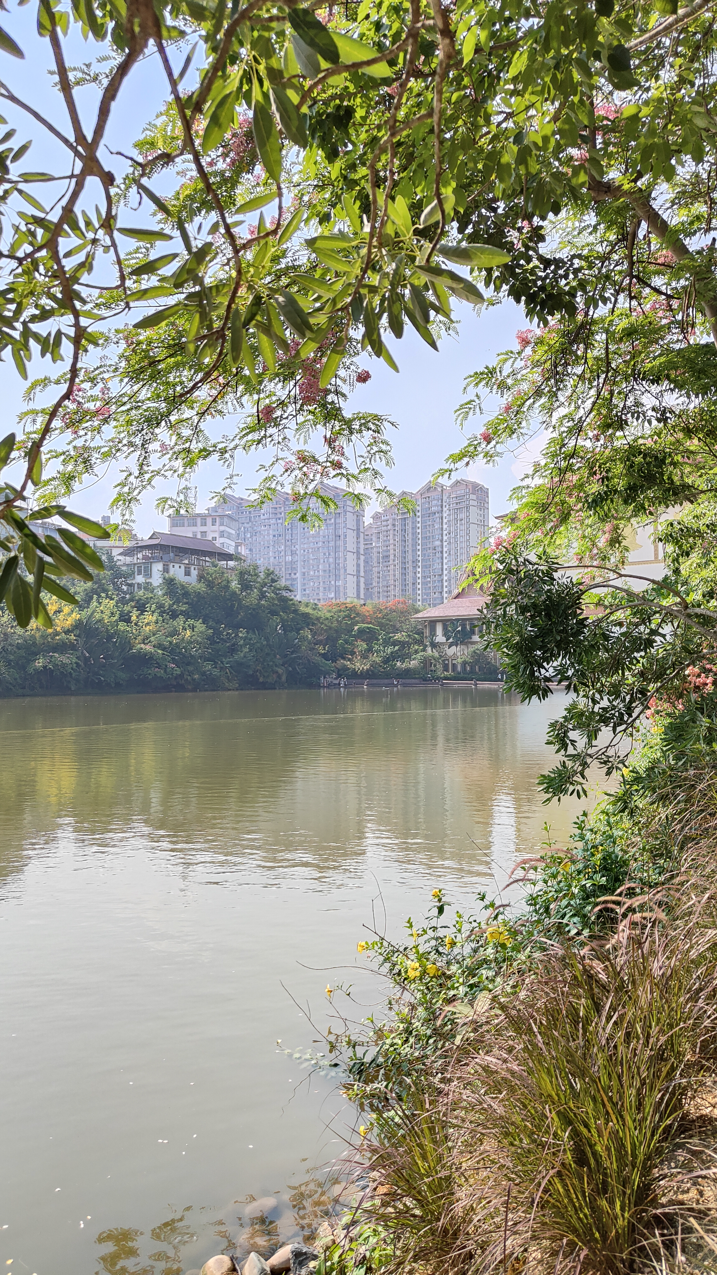Manting Park - Yunnan