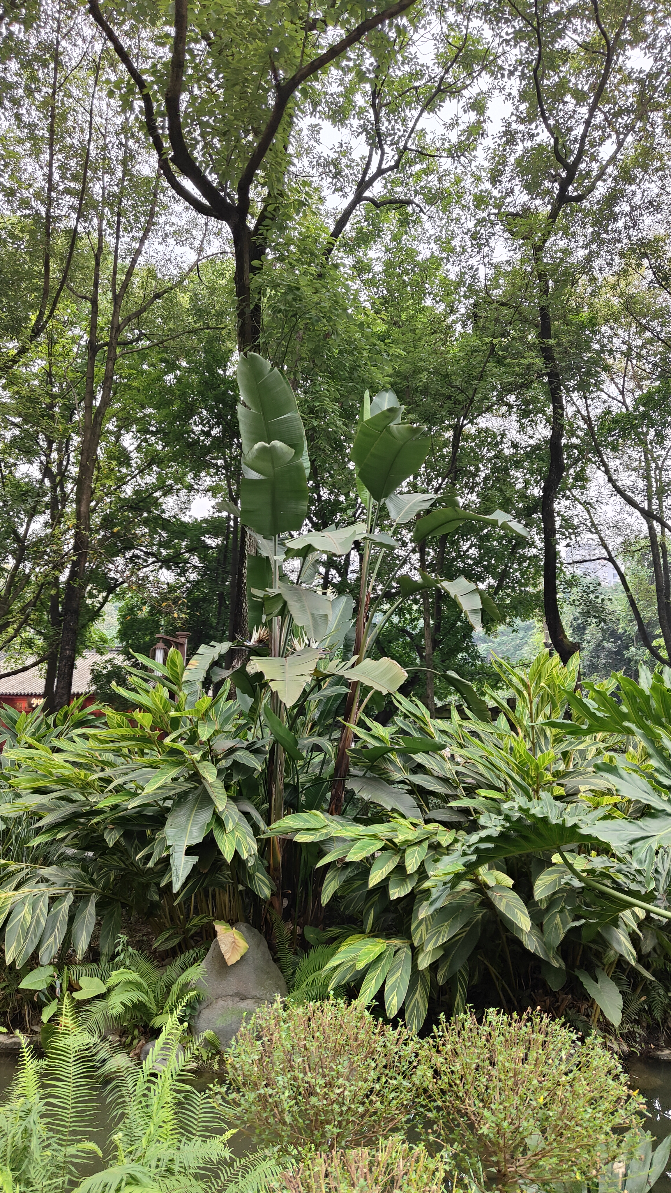 Chengdu Sichuan