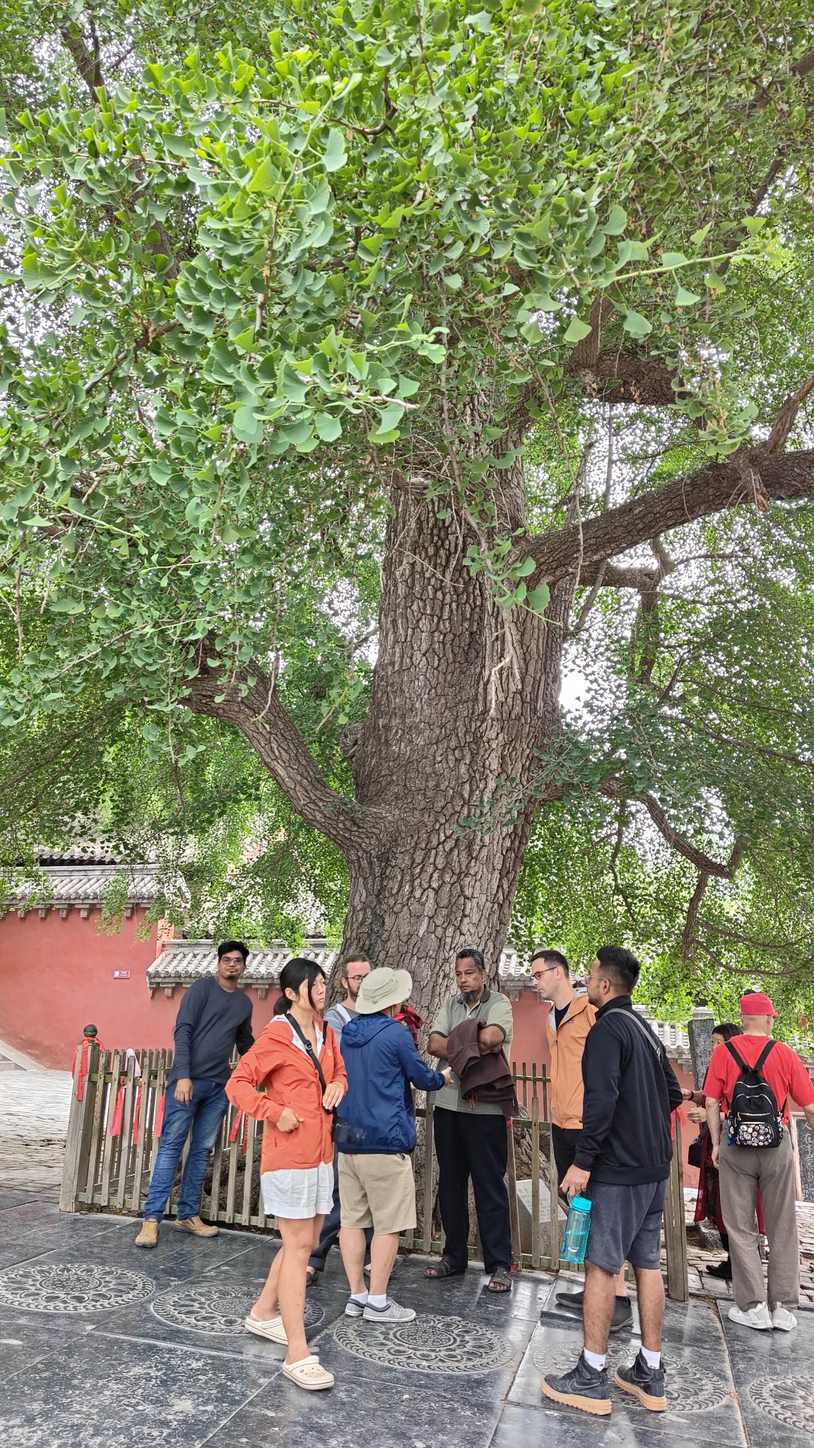 temple shaolin