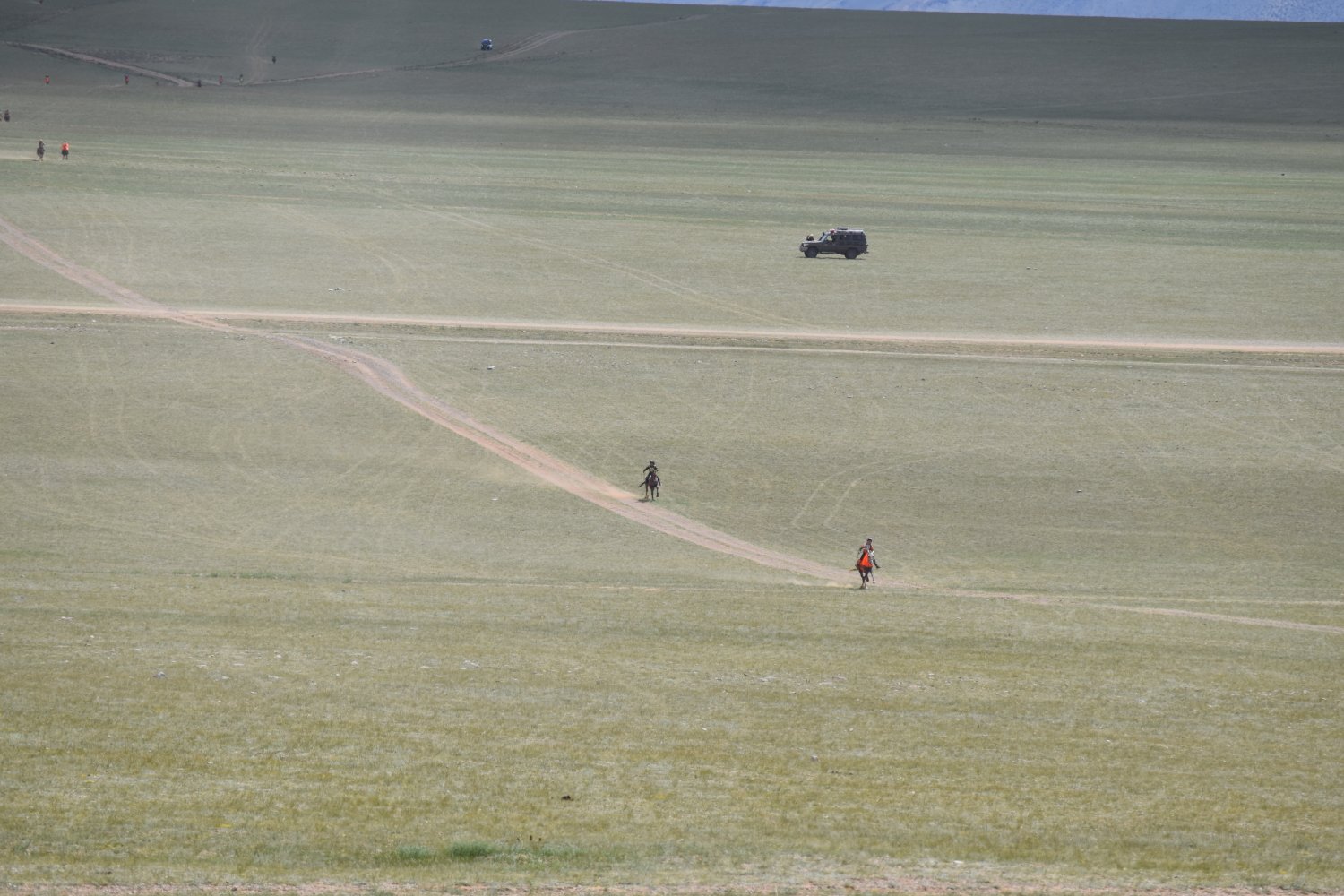 Naadam - Courses de chevaux