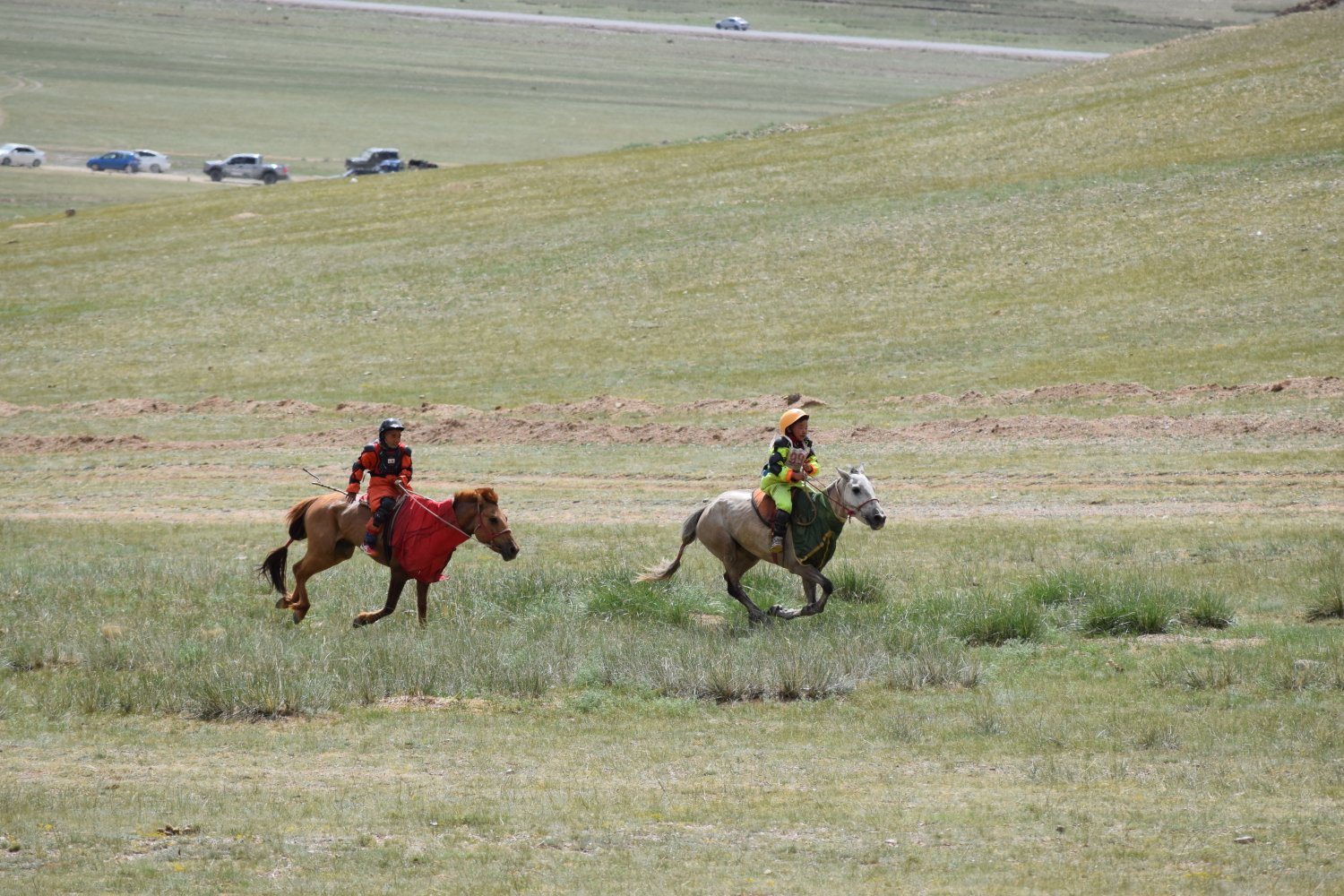 Naadam - Courses de chevaux