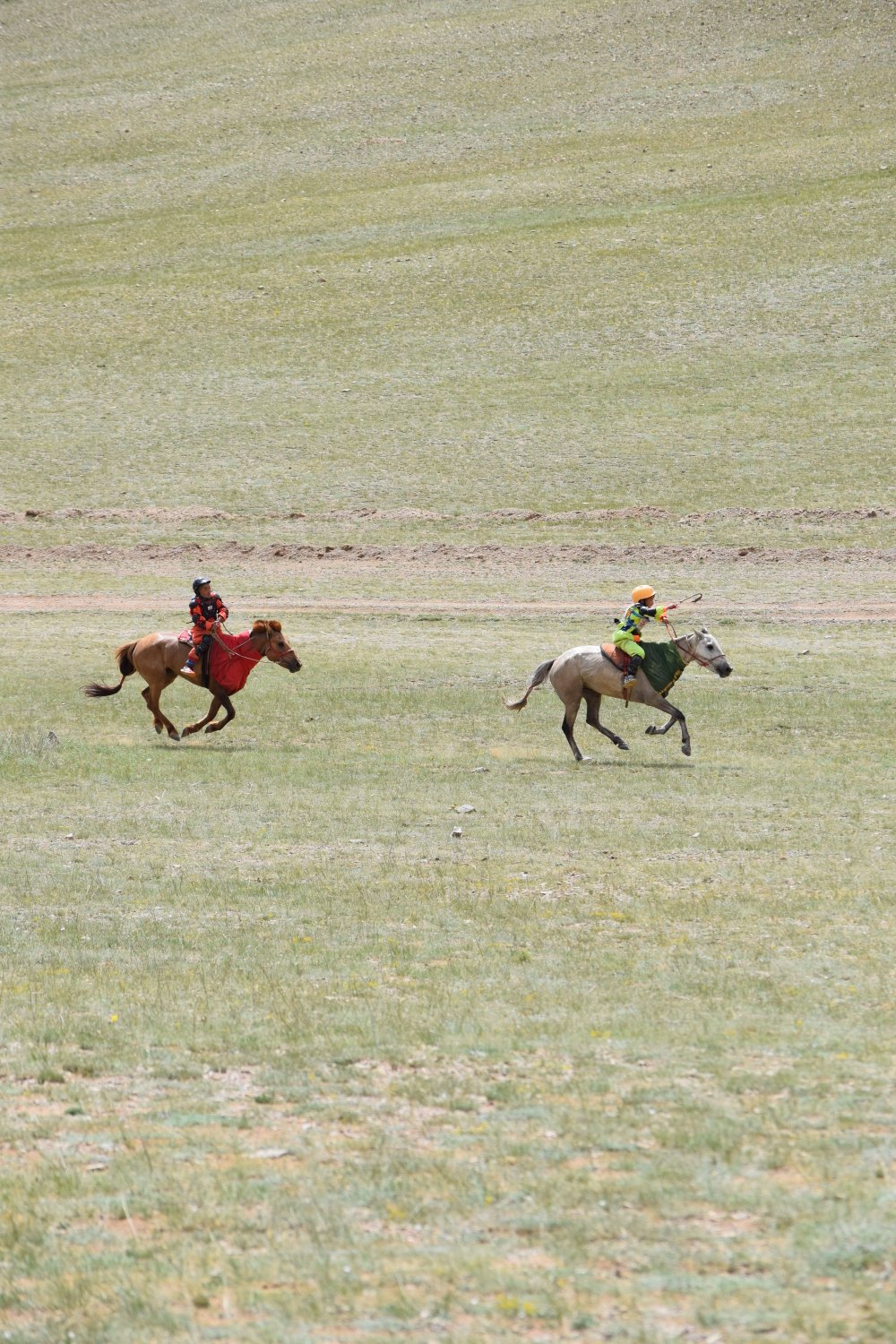 Naadam - Courses de chevaux