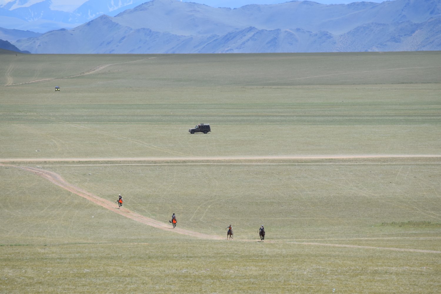 Naadam - Courses de chevaux