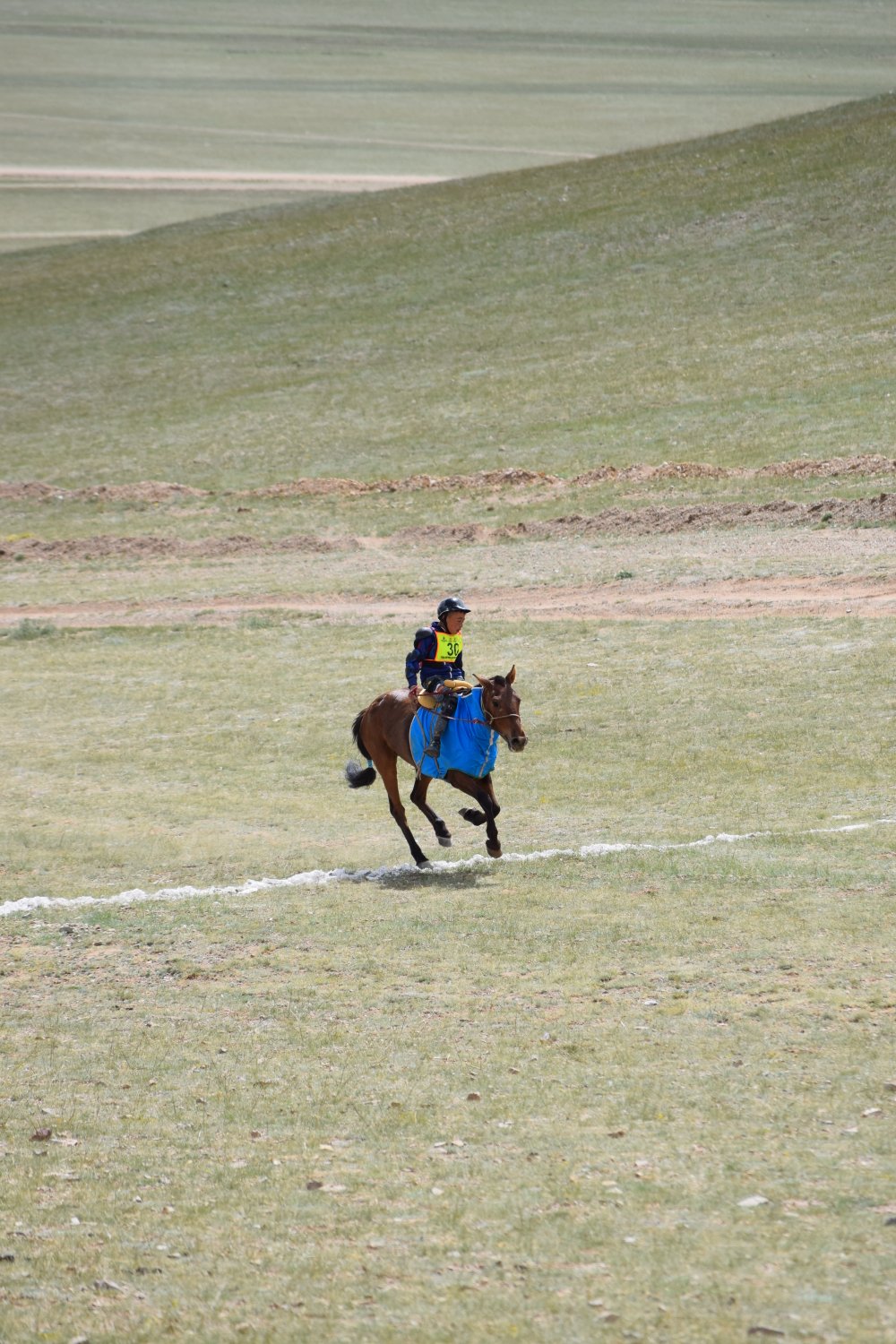 Naadam - Courses de chevaux