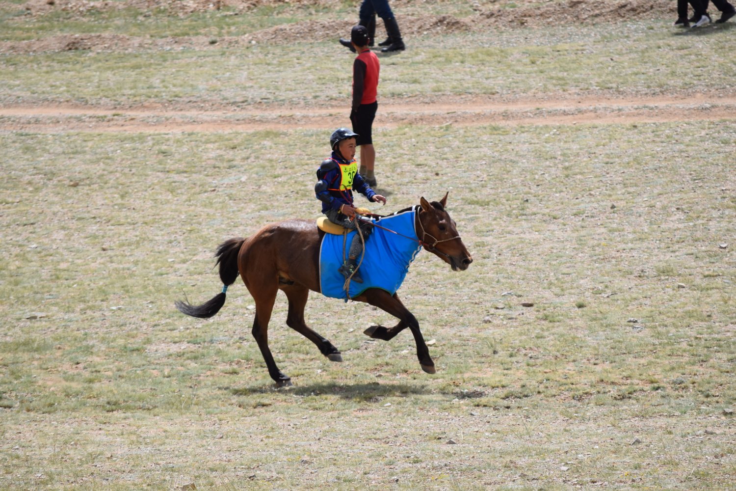 Naadam - Courses de chevaux