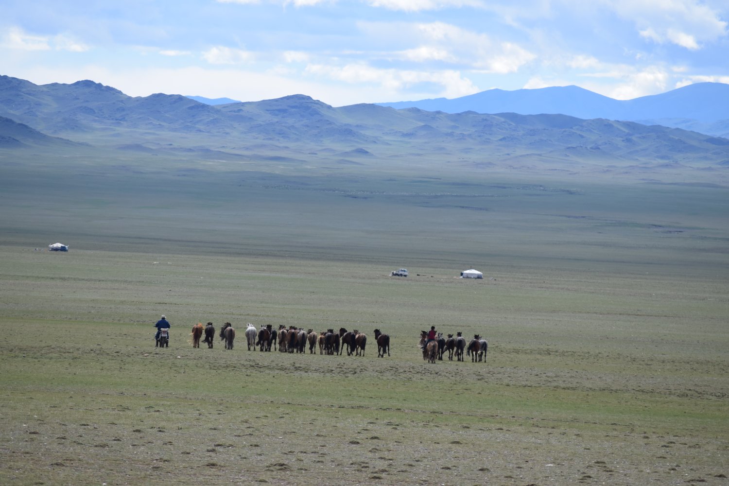 Piste steppes mongolie 