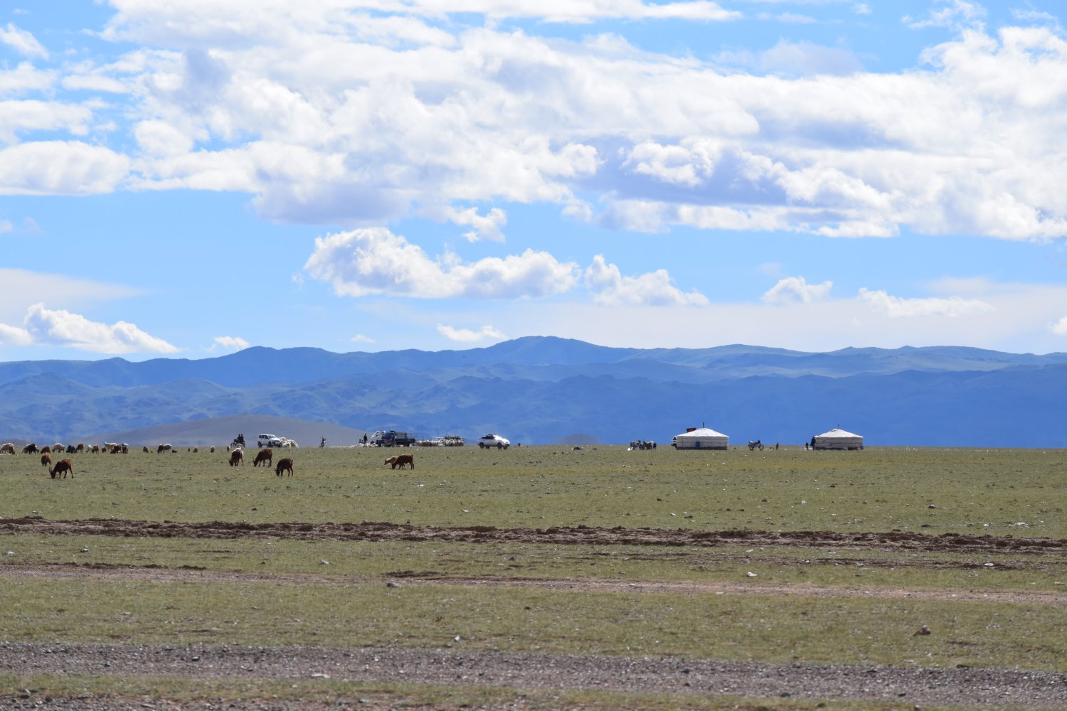 Piste steppes mongolie 