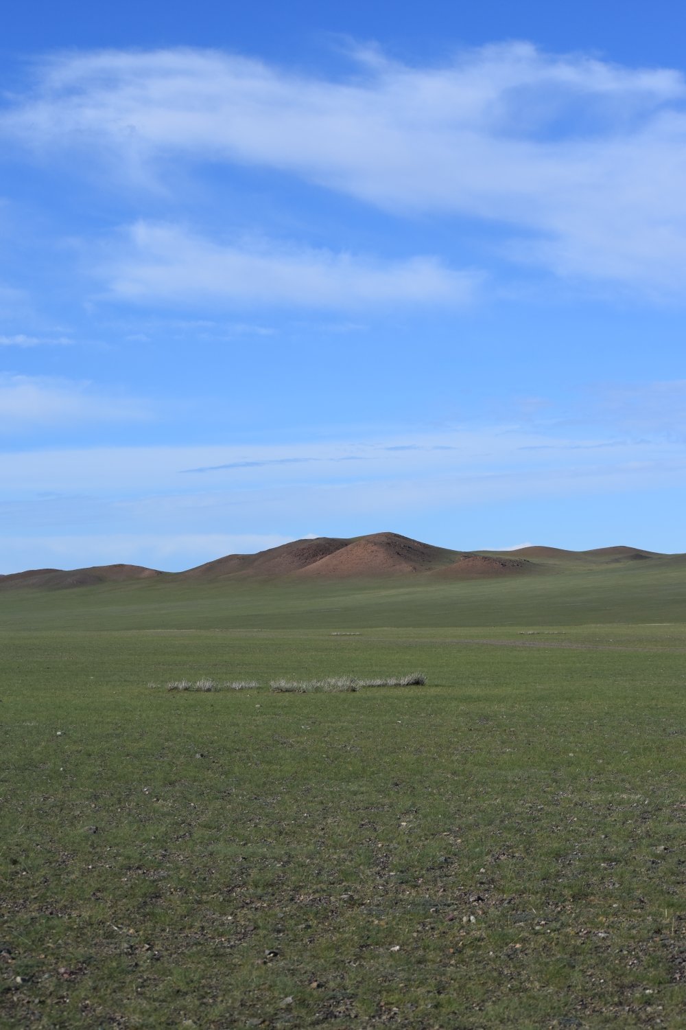 Piste steppes mongolie 