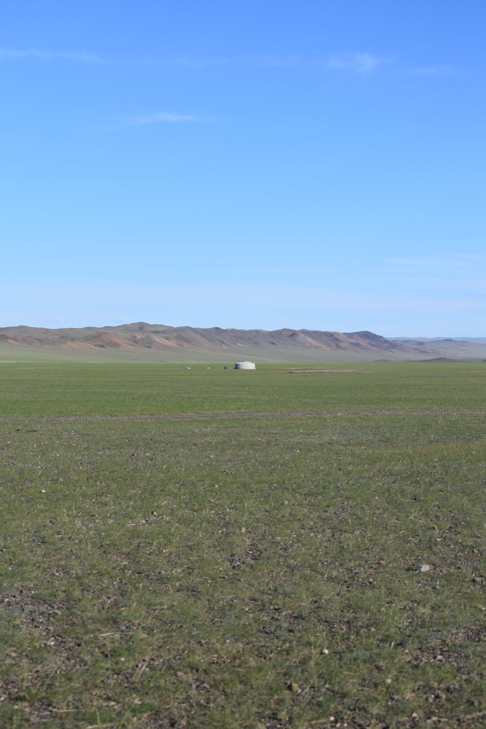 Piste steppes mongolie 