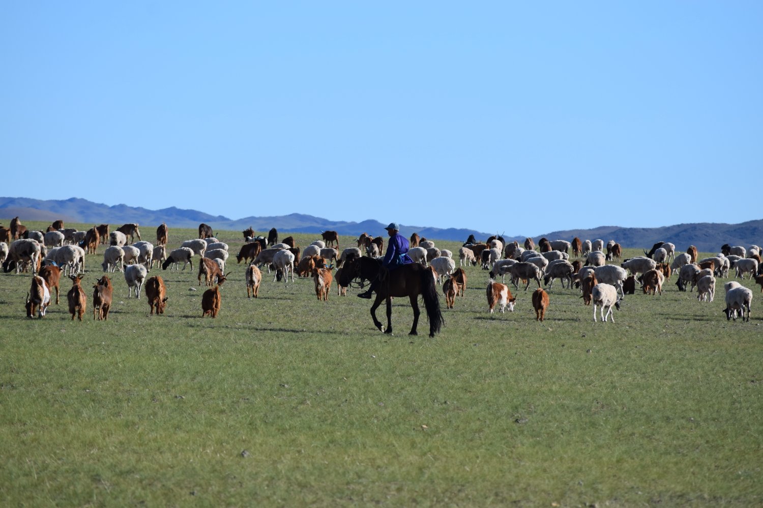 Piste steppes mongolie 