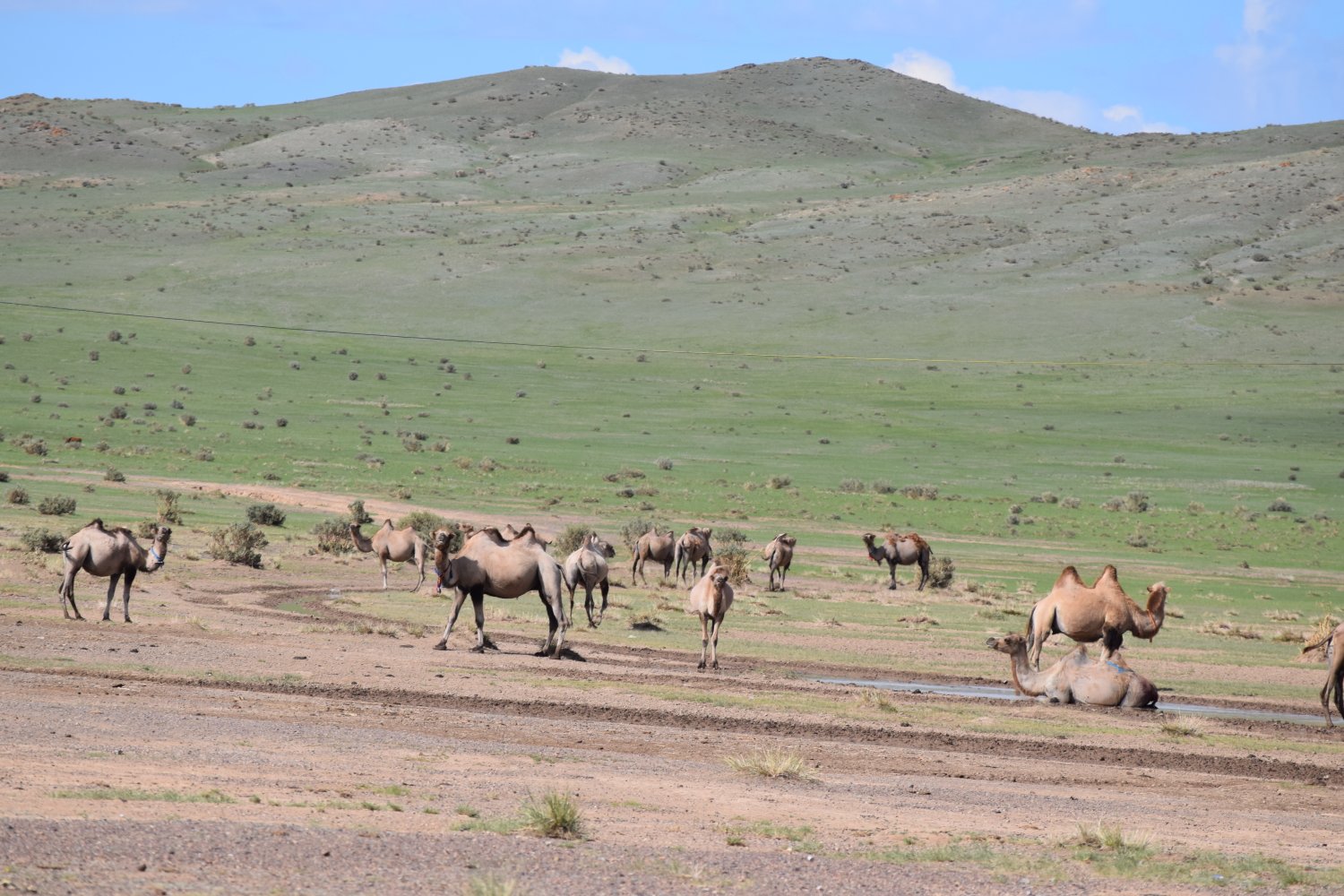 Piste steppes mongolie 