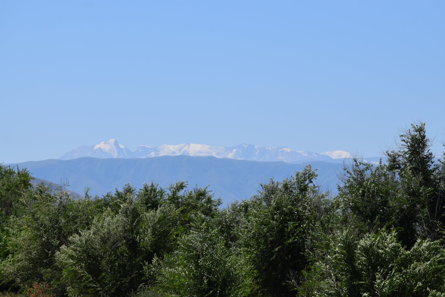 paysage kazakh
