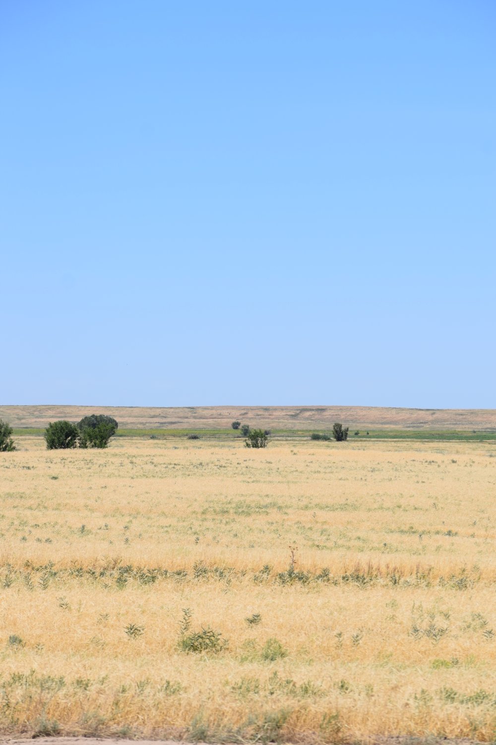 paysage kazakh