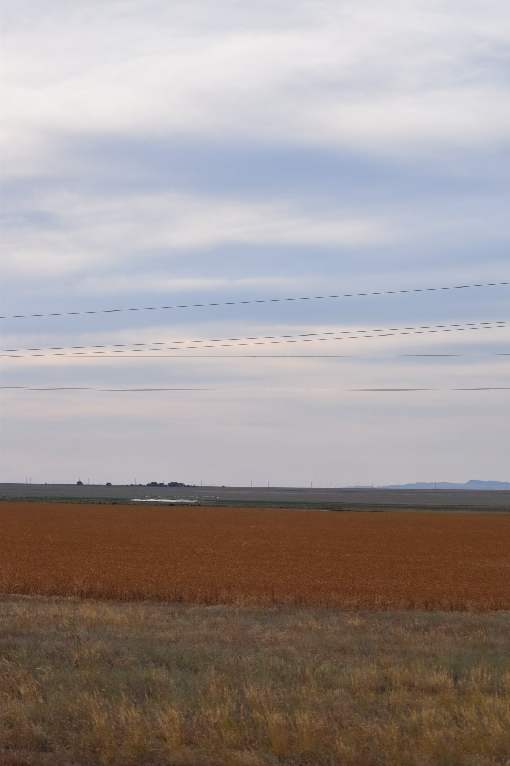paysage kazakh