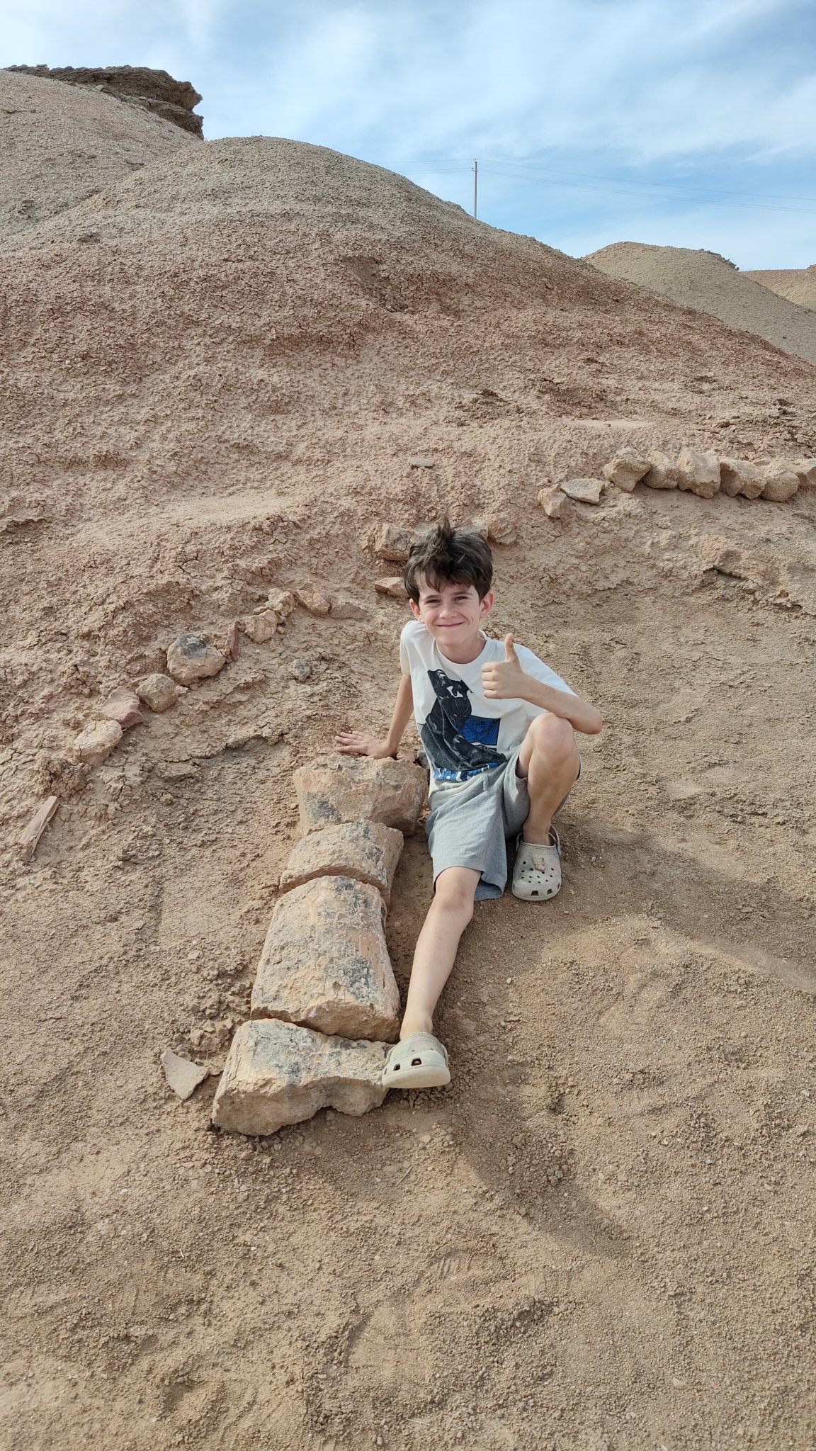 Monglie - dinosaure