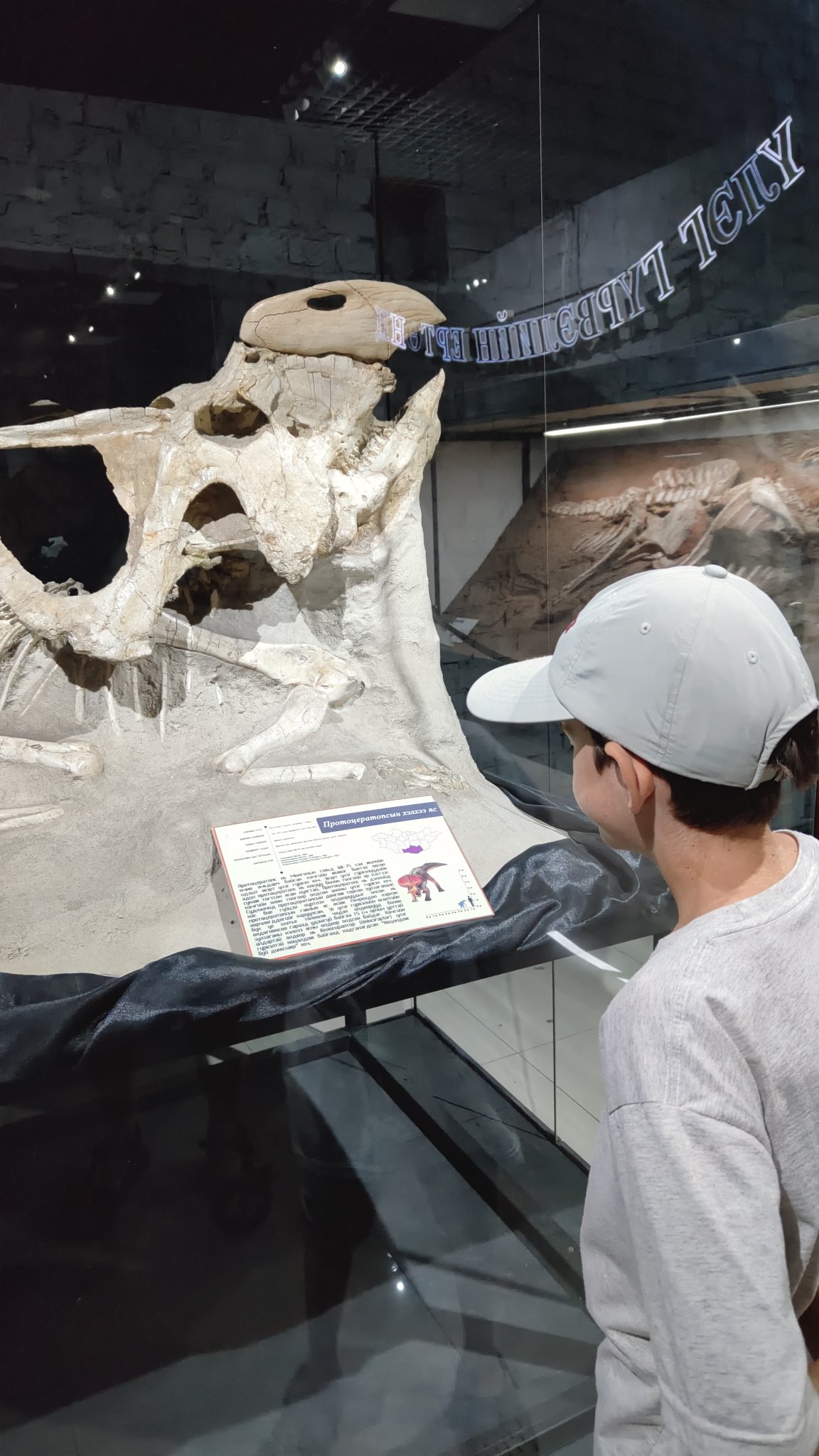 Oulan-Bator - Muséum d'histoire naturelle