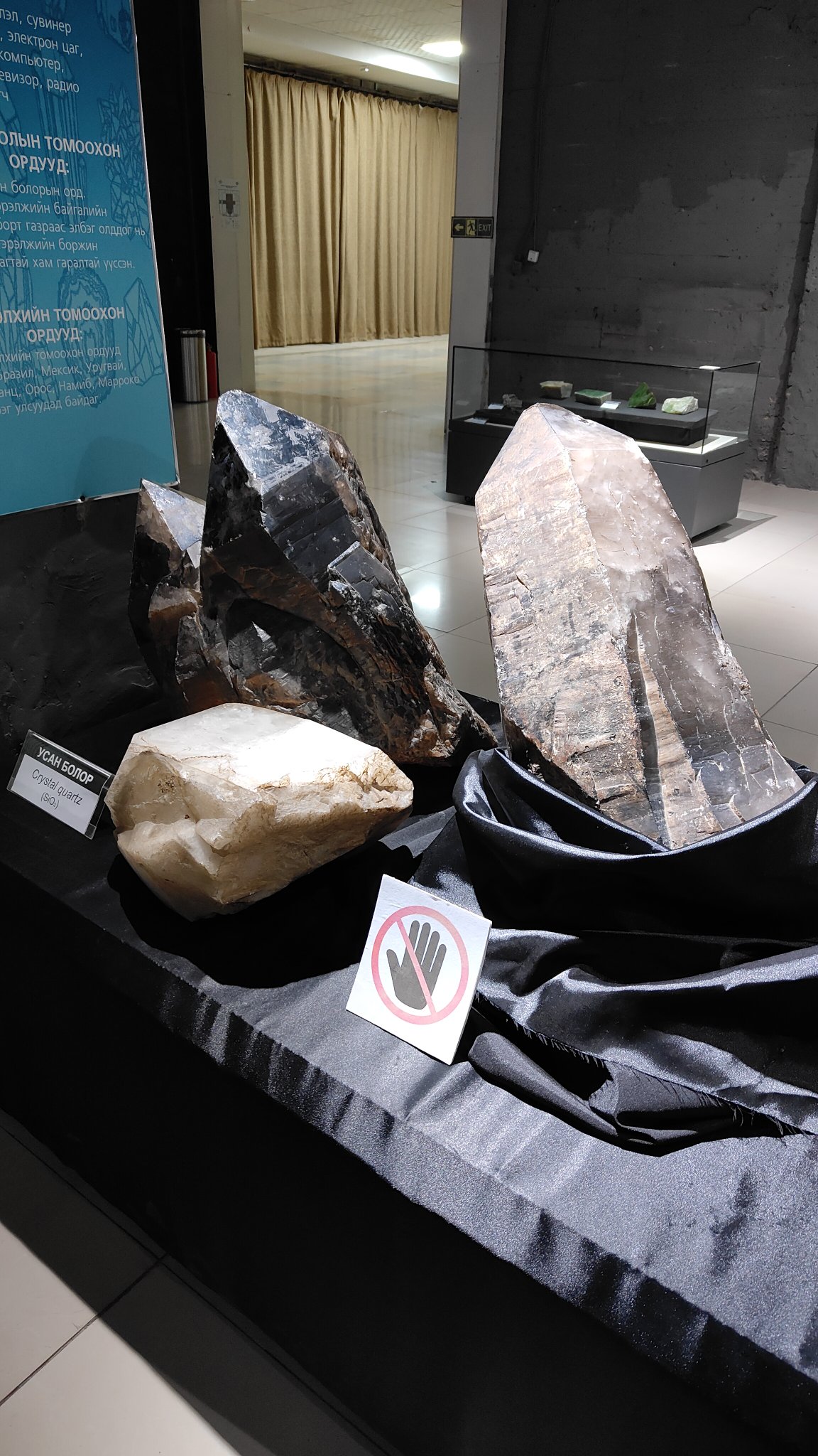 Oulan-Bator - Muséum d'histoire naturelle