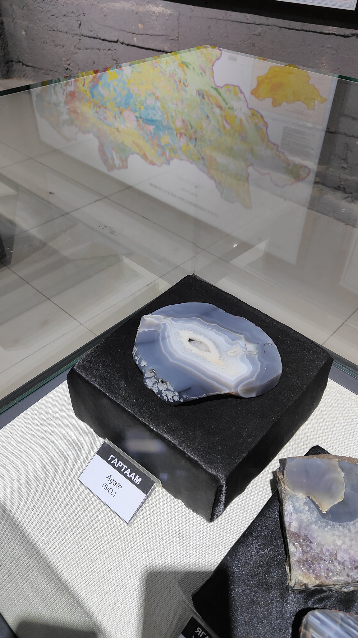Oulan-Bator - Muséum d'histoire naturelle