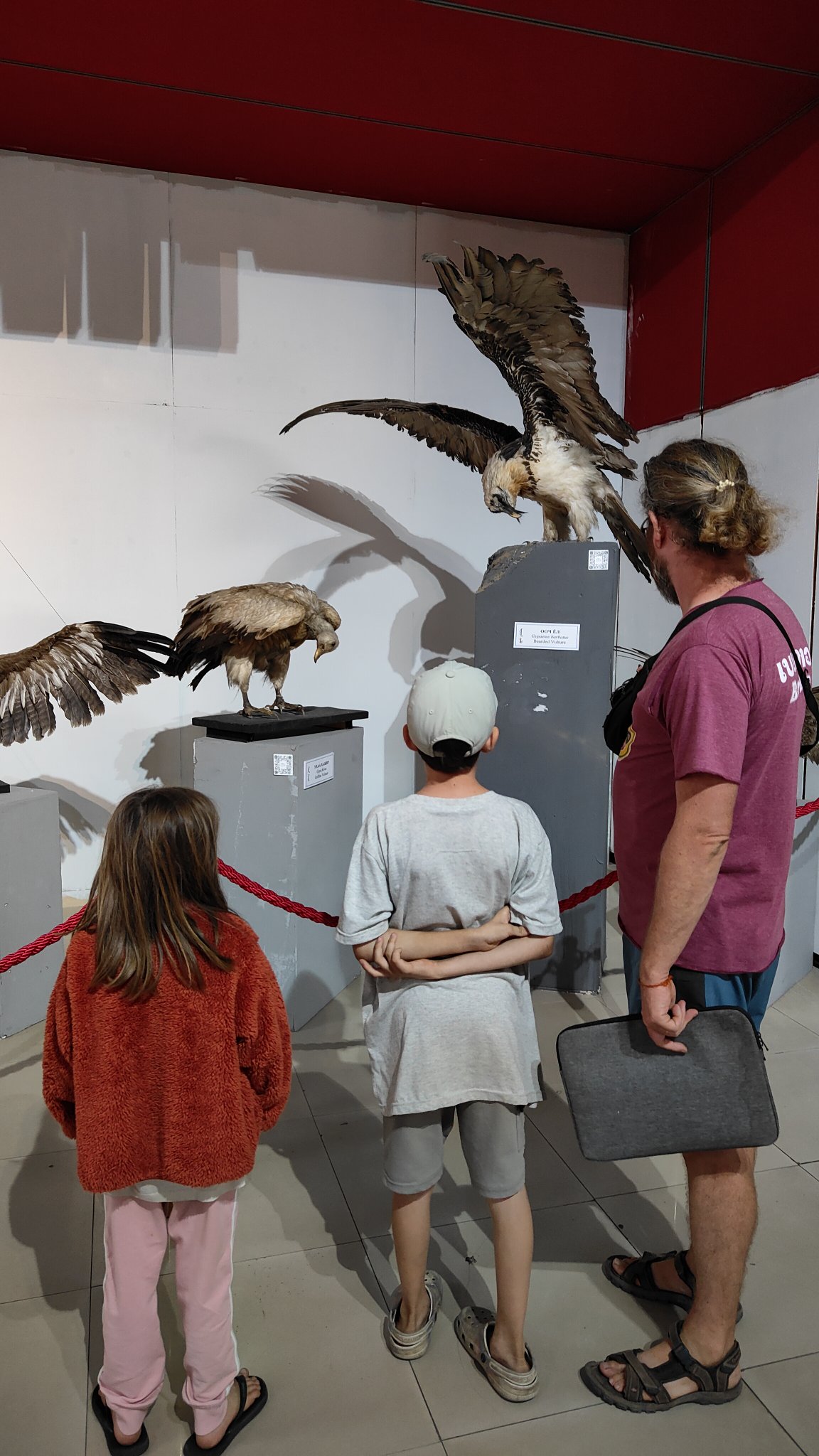 Oulan-Bator - Muséum d'histoire naturelle
