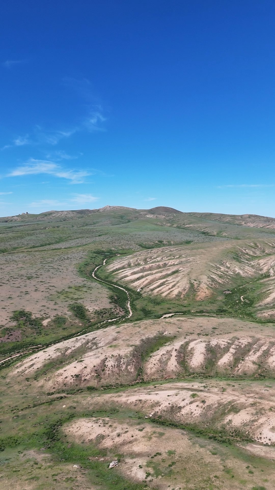 spot steppes