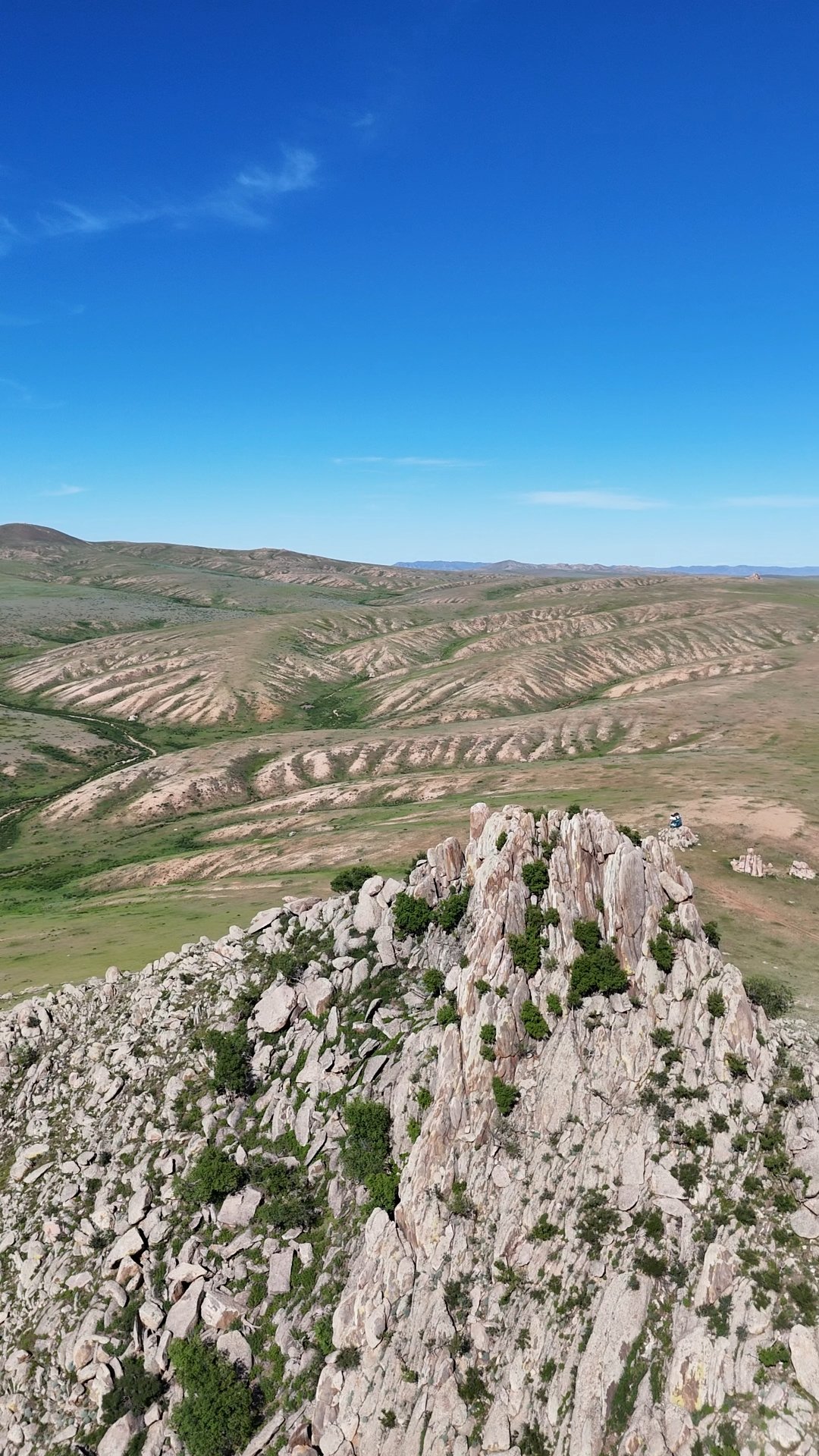 spot steppes