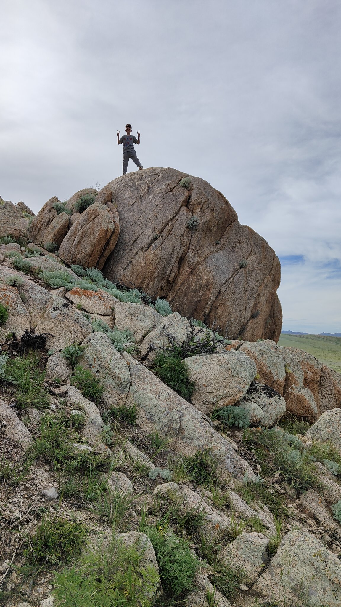 spot steppes