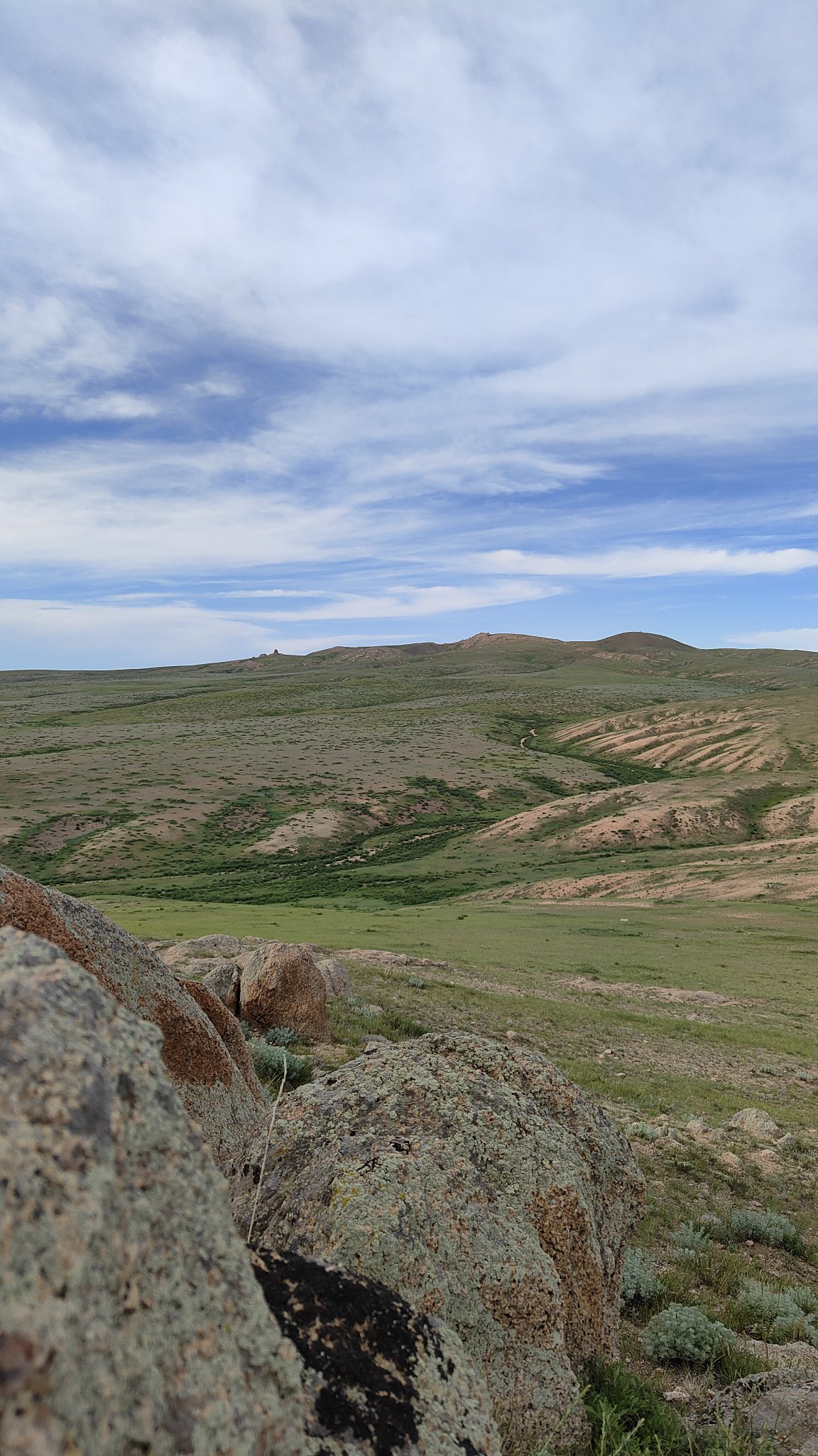 spot steppes