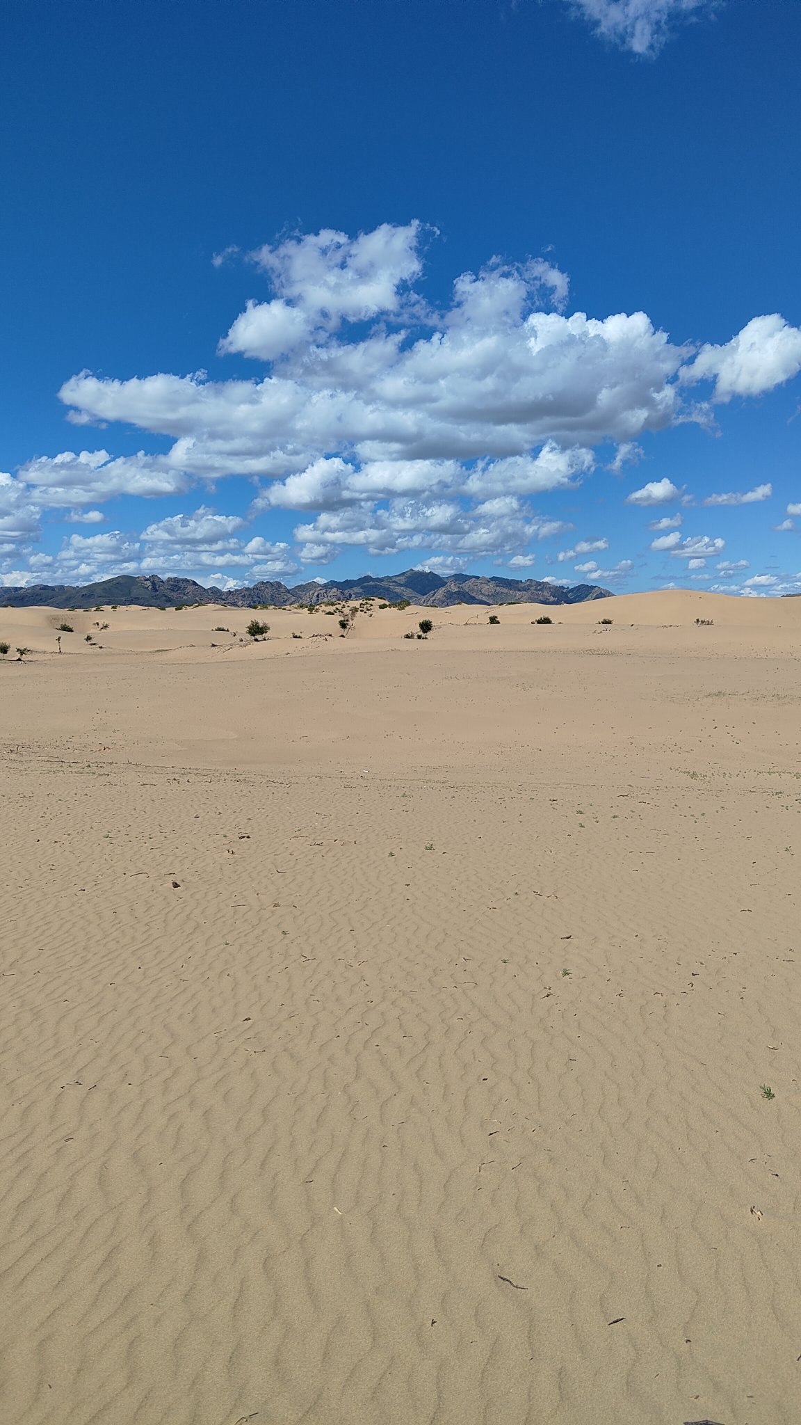 Mini Gobi