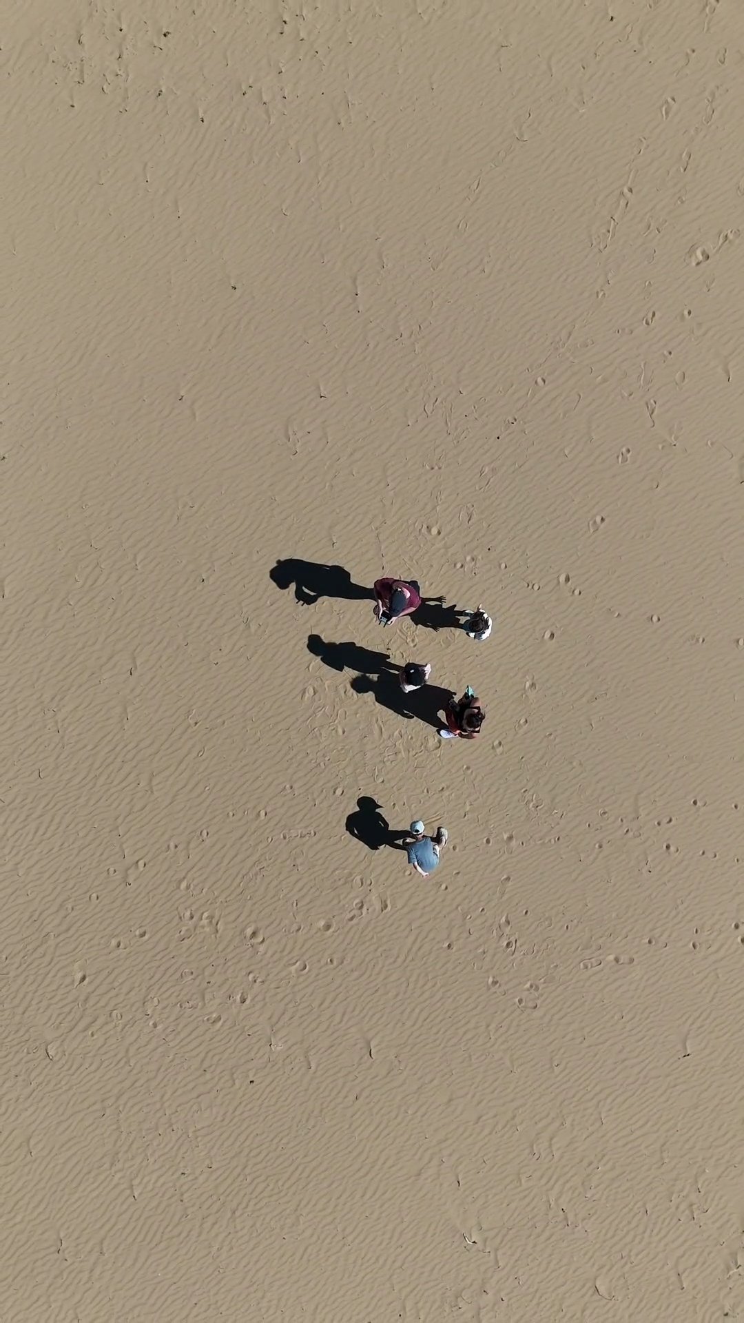 Mini Gobi