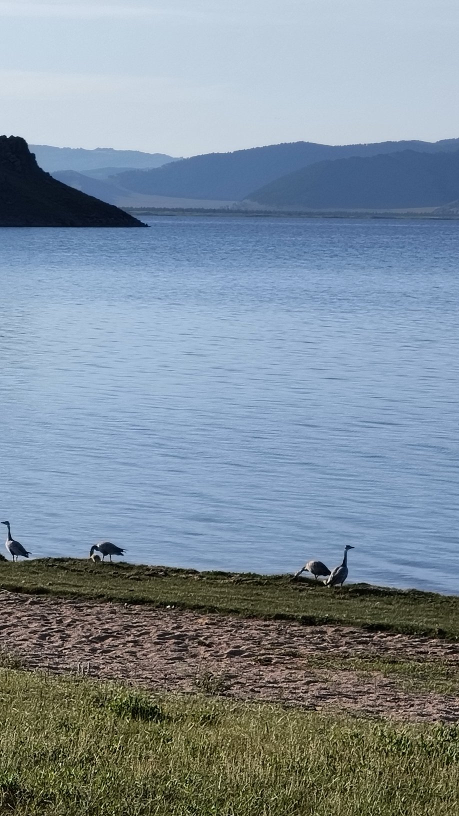 lac Terkhiin Tsagaan - richesses naturelles
