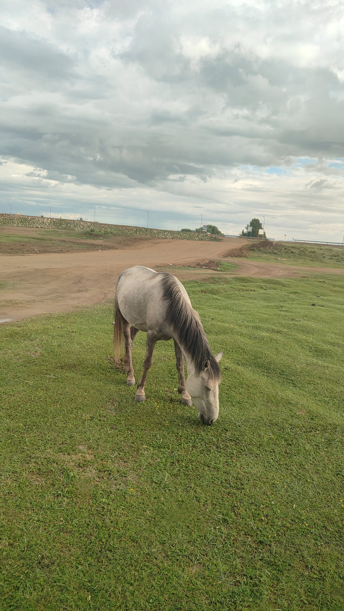 Ulaangom