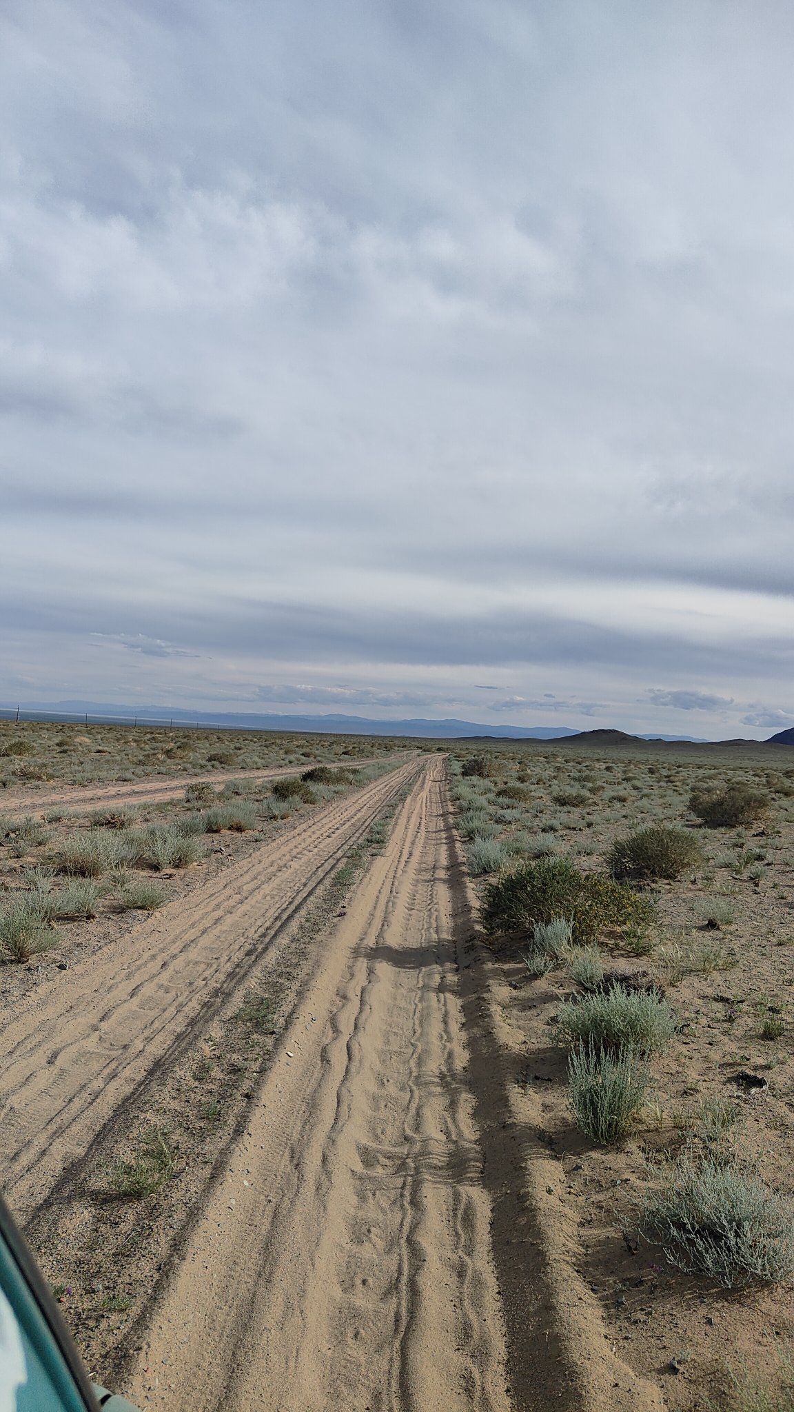 Steppes mongolie