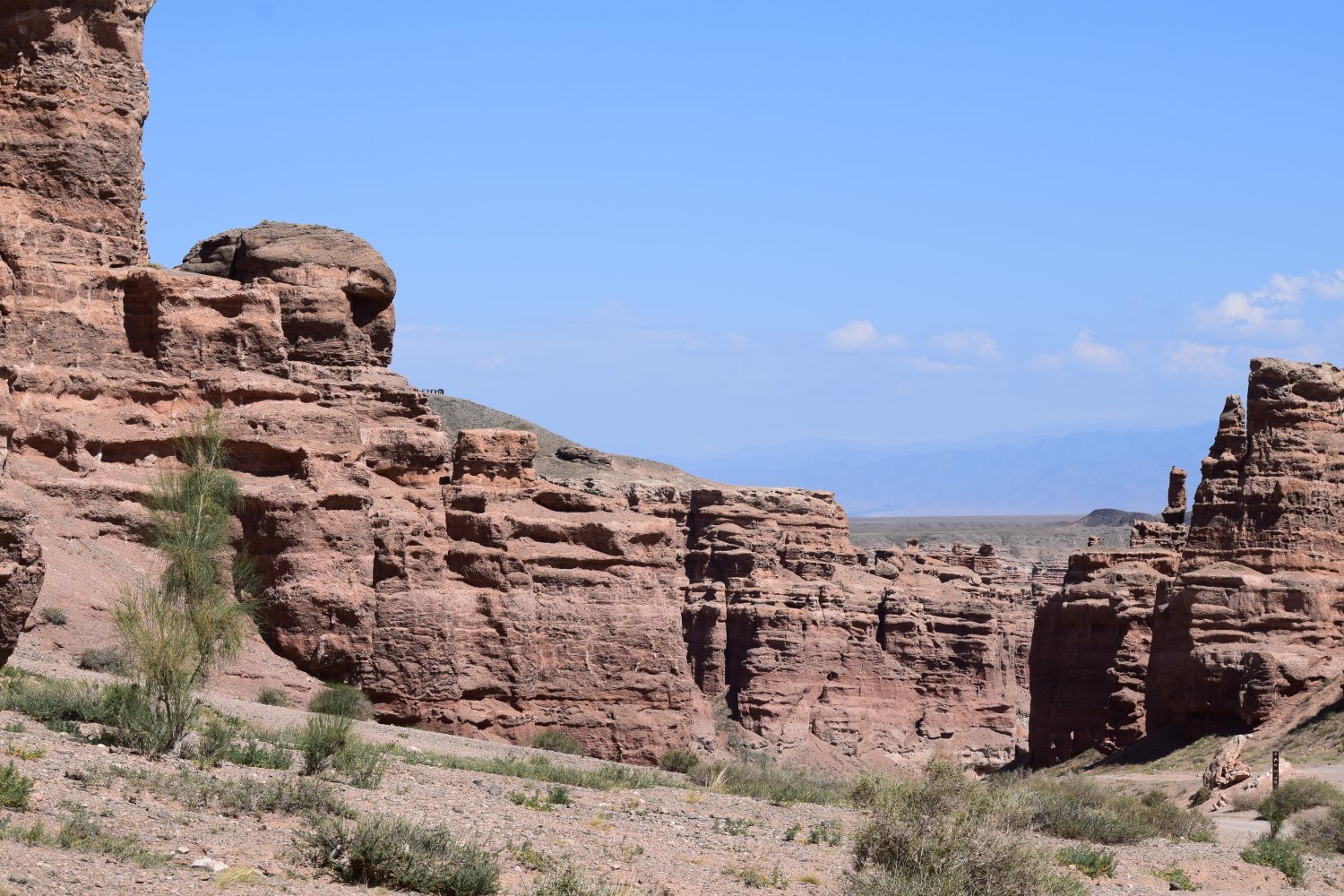 canyon charyn