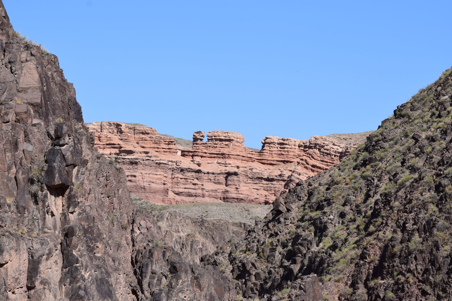 canyon charyn