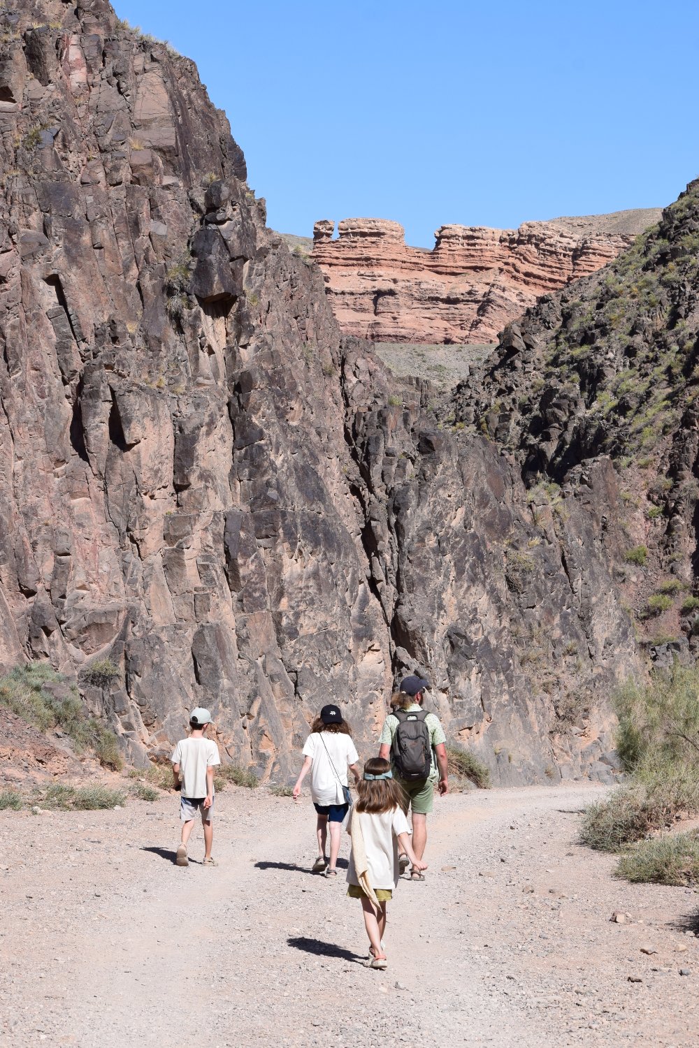 canyon charyn