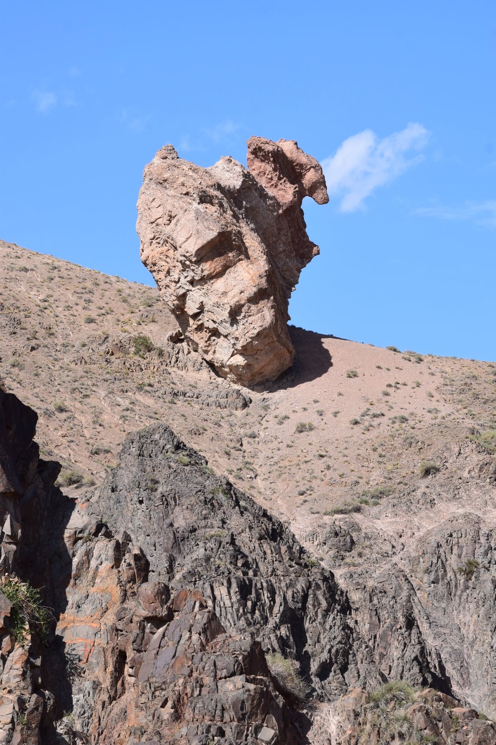 canyon charyn