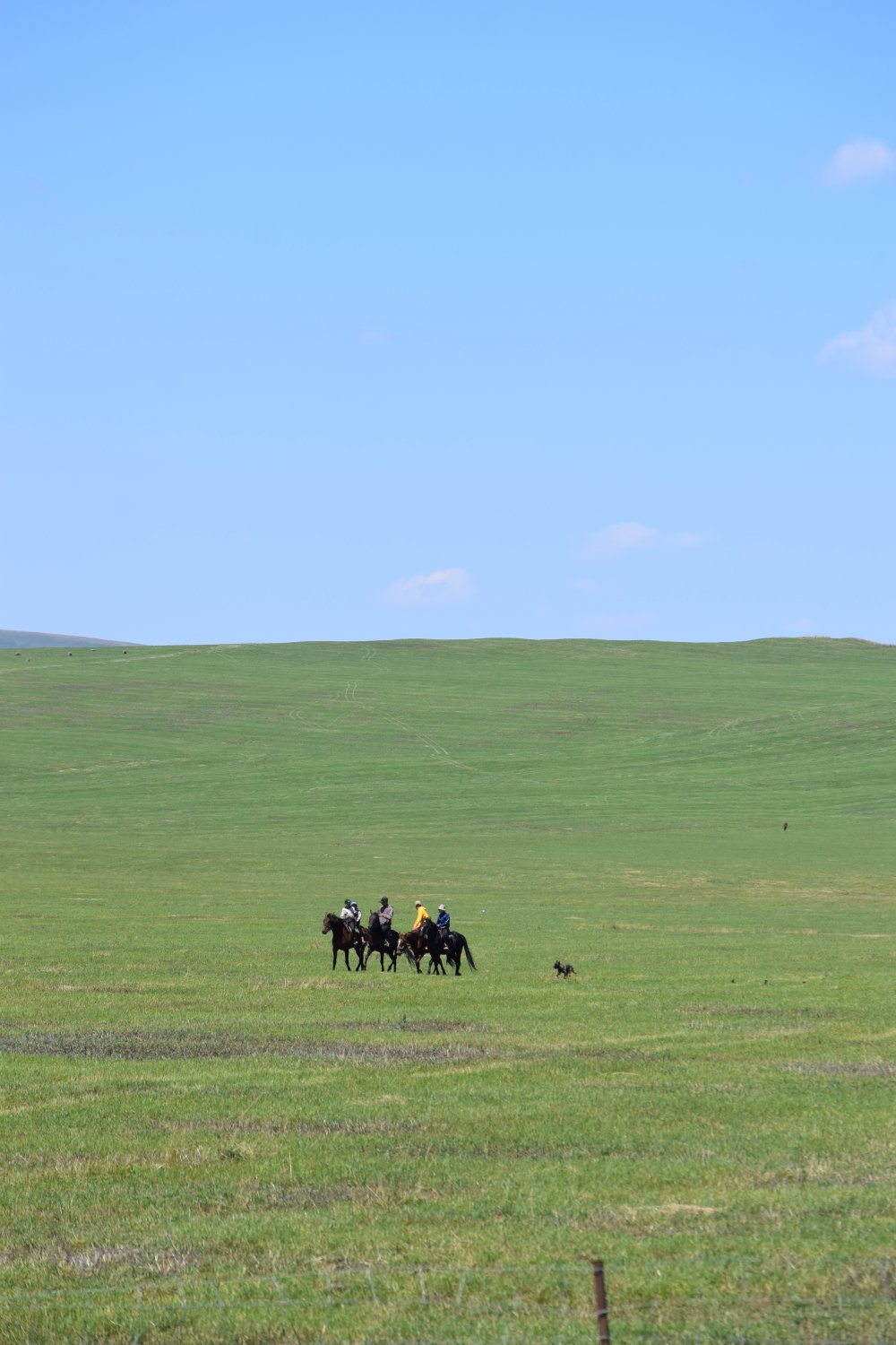 paysage