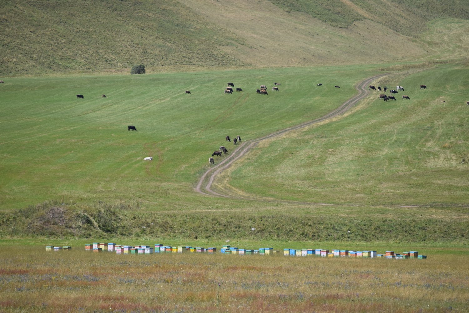 col de Kyzyl Kiya