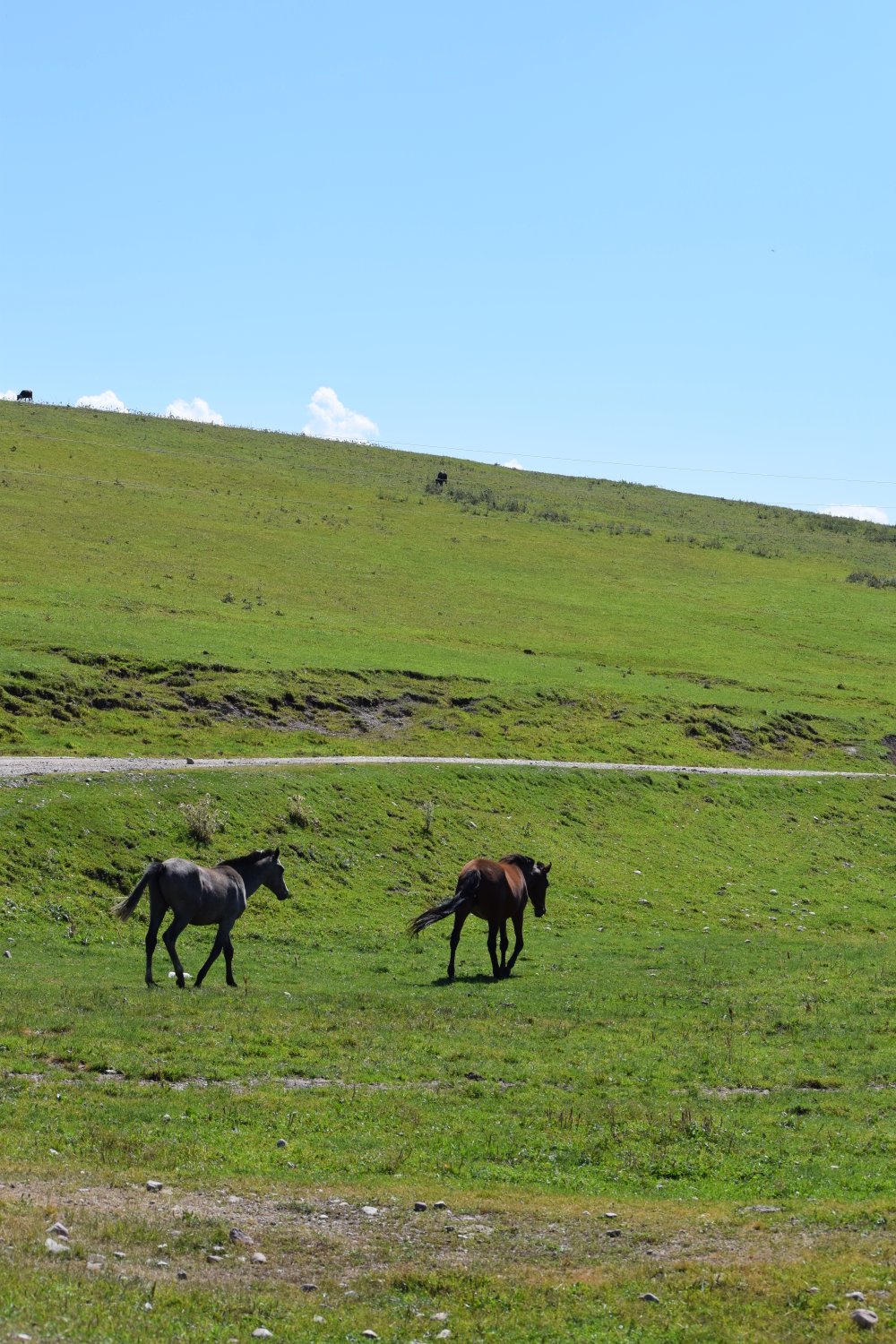 col de Kyzyl Kiya