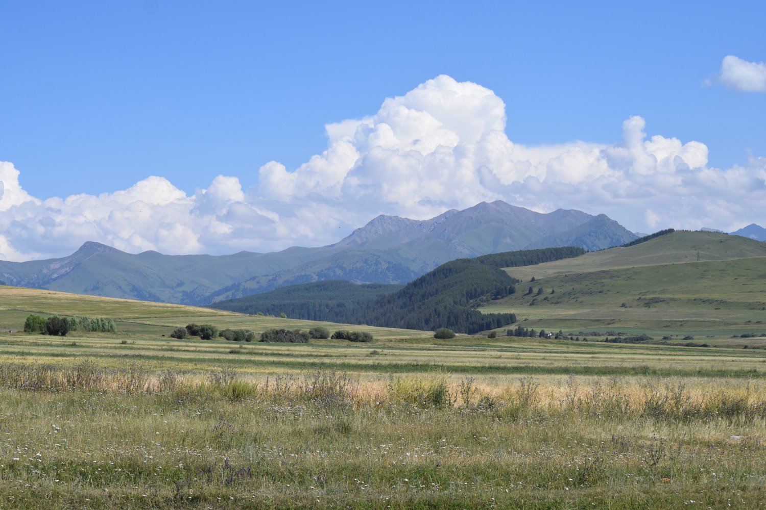 col de Kyzyl Kiya