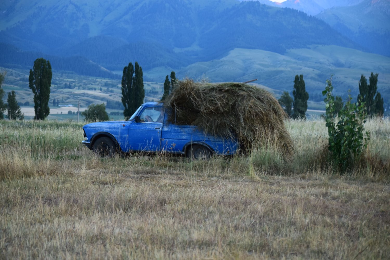 voiture