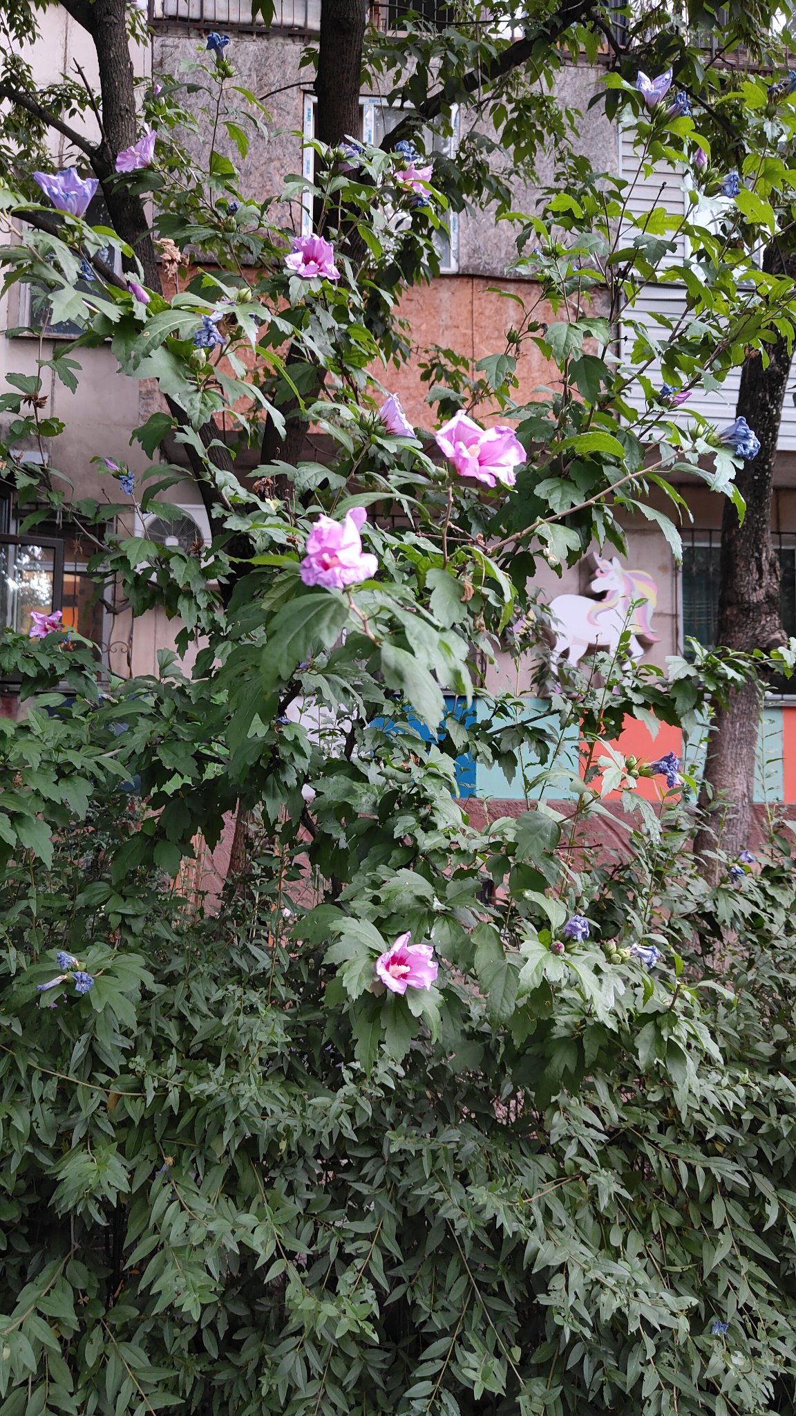 Hostel Almaty