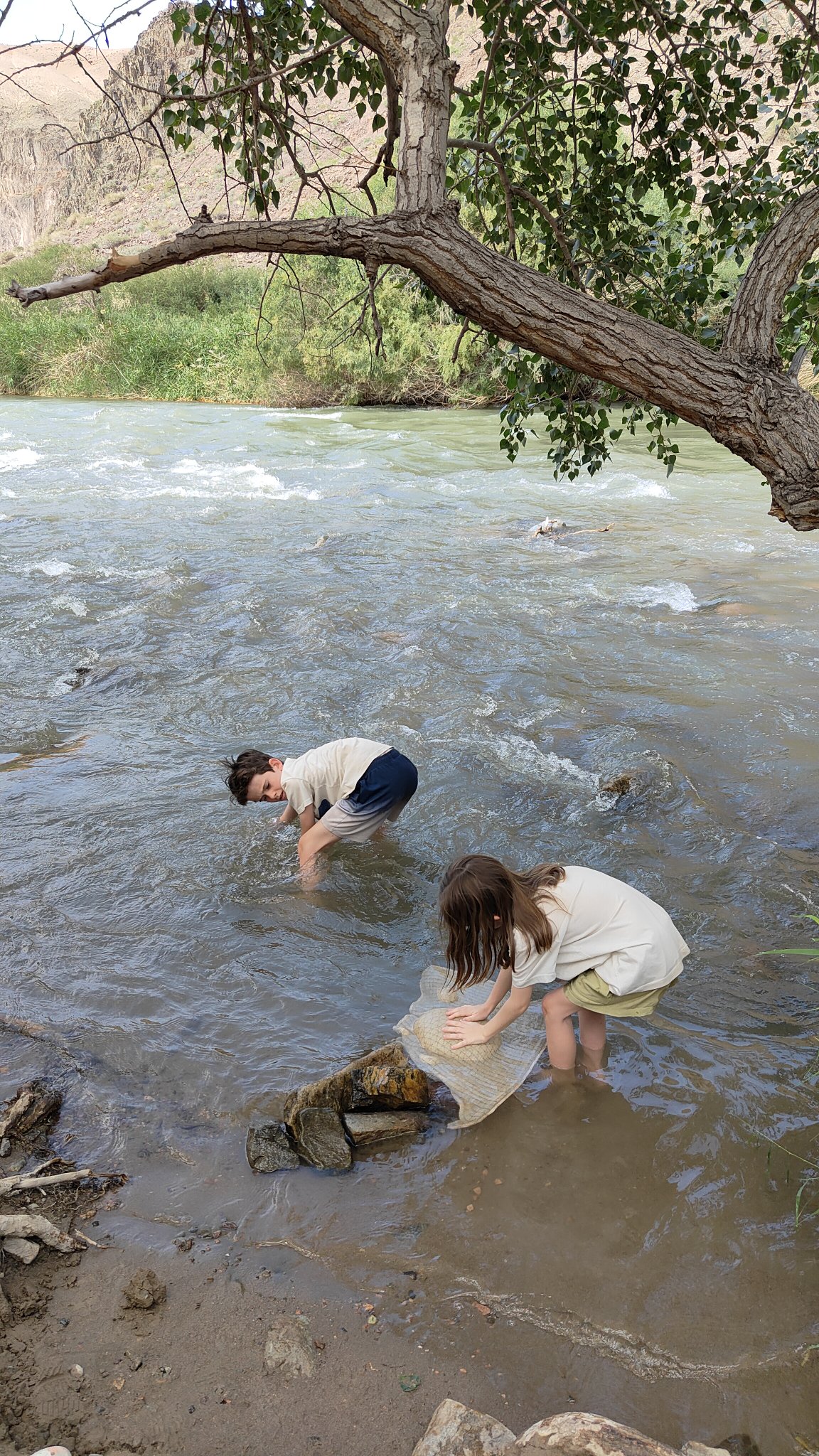 Rivière Charyn