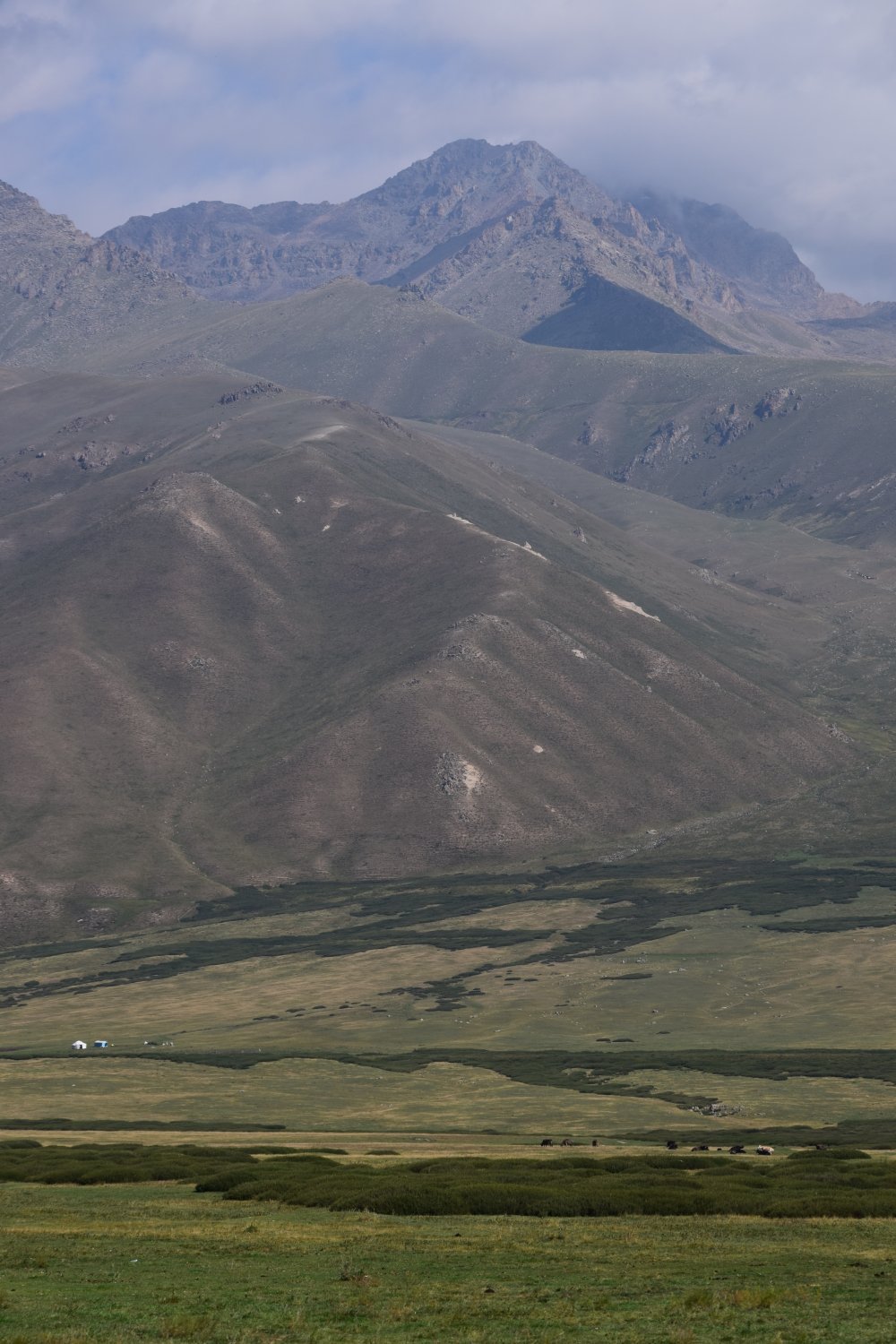 col Taldyk