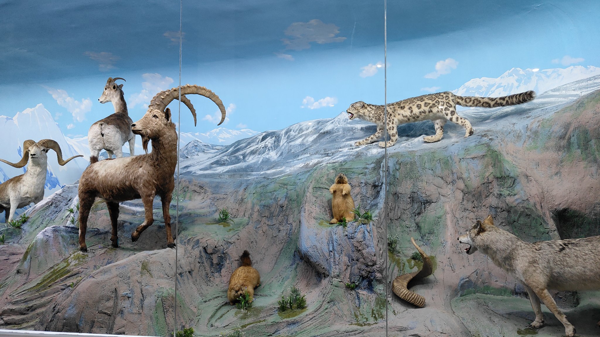 musée national du Tadjikistan - Douchanbé