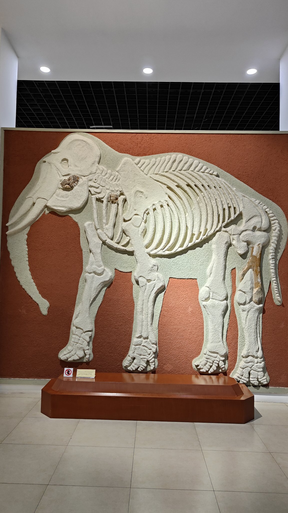 musée national du Tadjikistan - Douchanbé